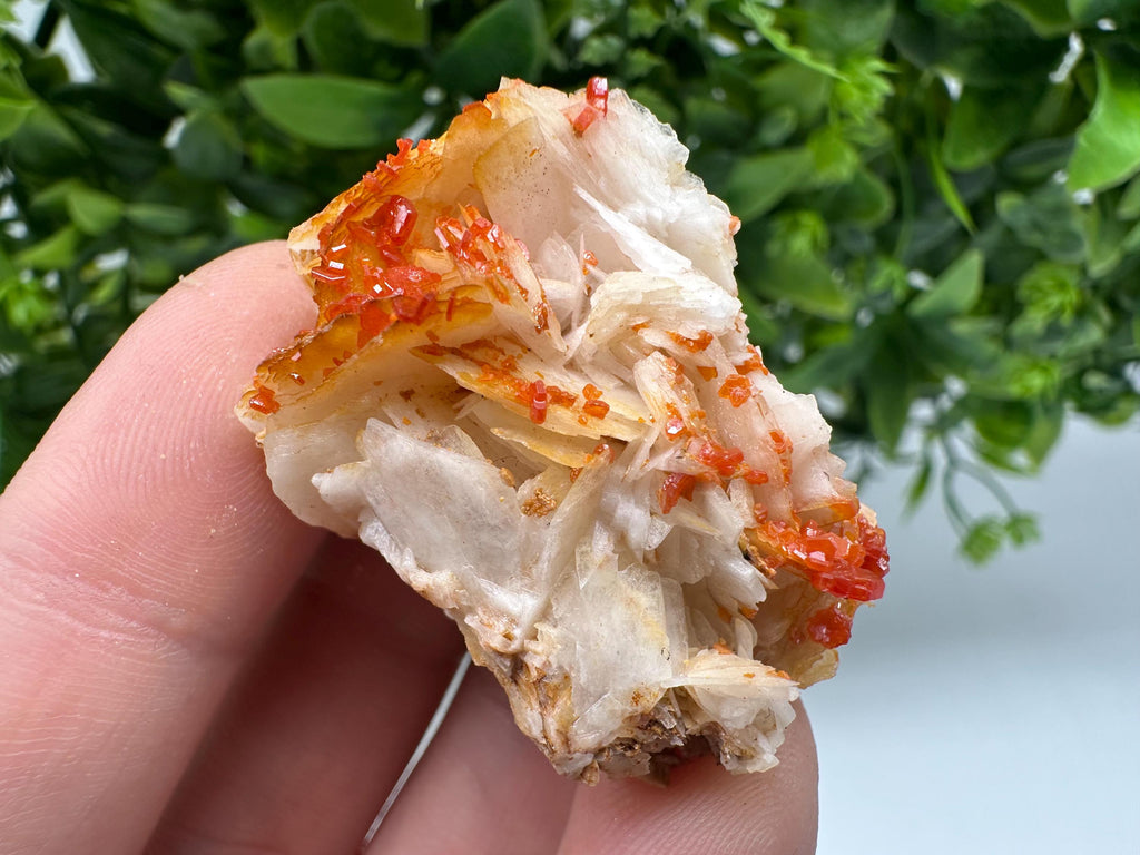 Red Vanadinite on Barite from Marocco,crystal minerals Speciment cluster Vanadinite crystal Vanadinite Geology Vanadinite cluster minerals
