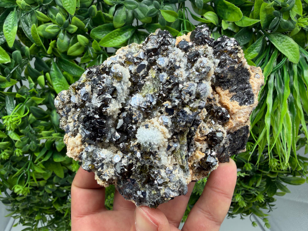 Sphalerite Cleiophane on Quartz, Krushev Dol Mine Mineral Specimen