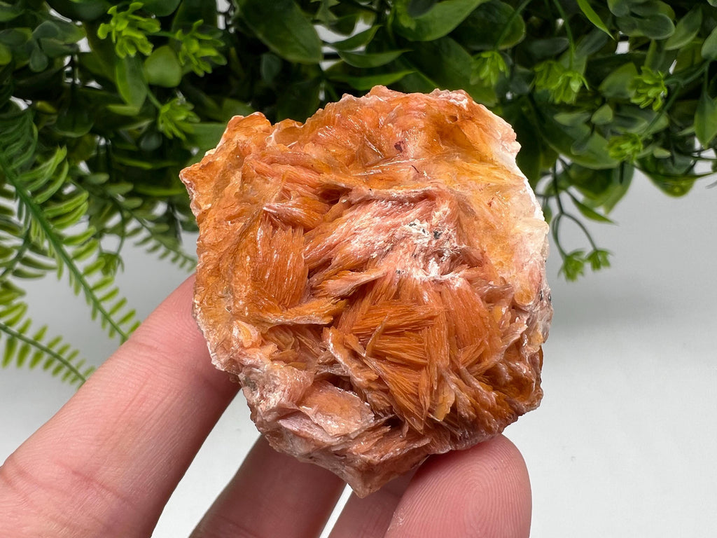 Wonderful Baryte with Cerussite on Galena from Morocco,Crystal, Mineral,Specimen,Cluster,Crystals,Barite Crystal,Cerussite Crystal,Specimen