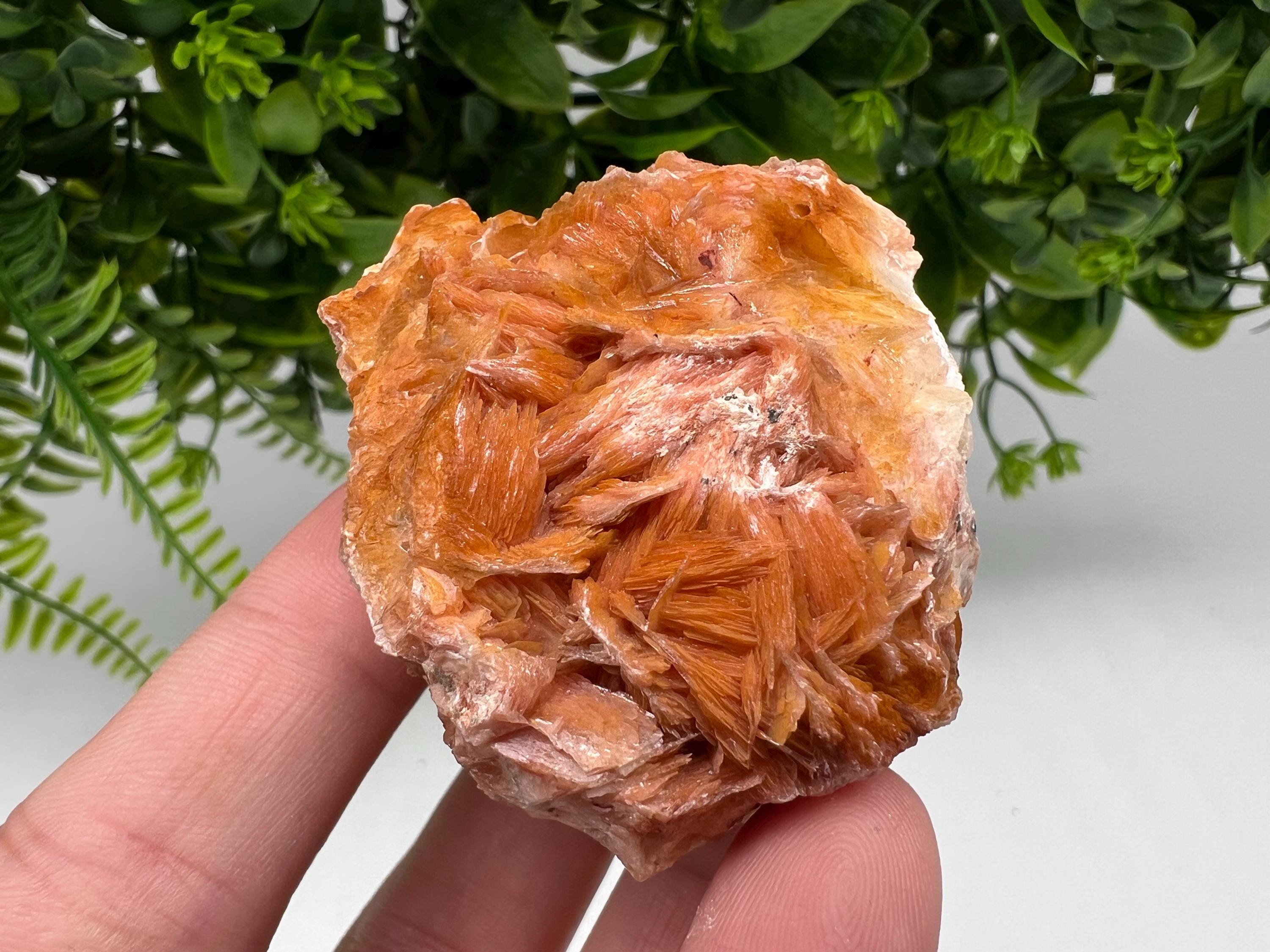 Wonderful Baryte with Cerussite on Galena from Morocco,Crystal, Mineral,Specimen,Cluster,Crystals,Barite Crystal,Cerussite Crystal,Specimen