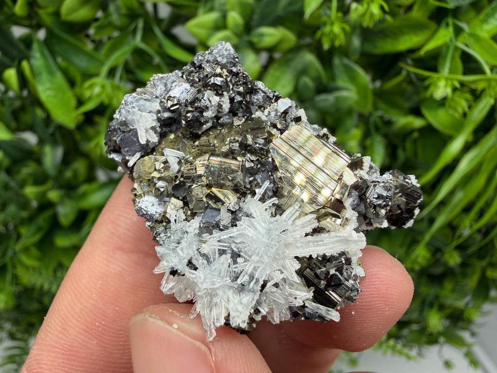 Pyrite Sphalerite Quartz  Mineral Specimen, Krushev dol Mine