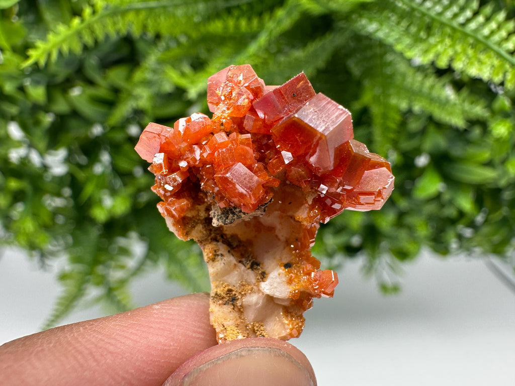 Red Vanadinite on Barite from Marocco,crystal minerals Speciment cluster Vanadinite crystal Vanadinite Geology Vanadinite cluster minerals