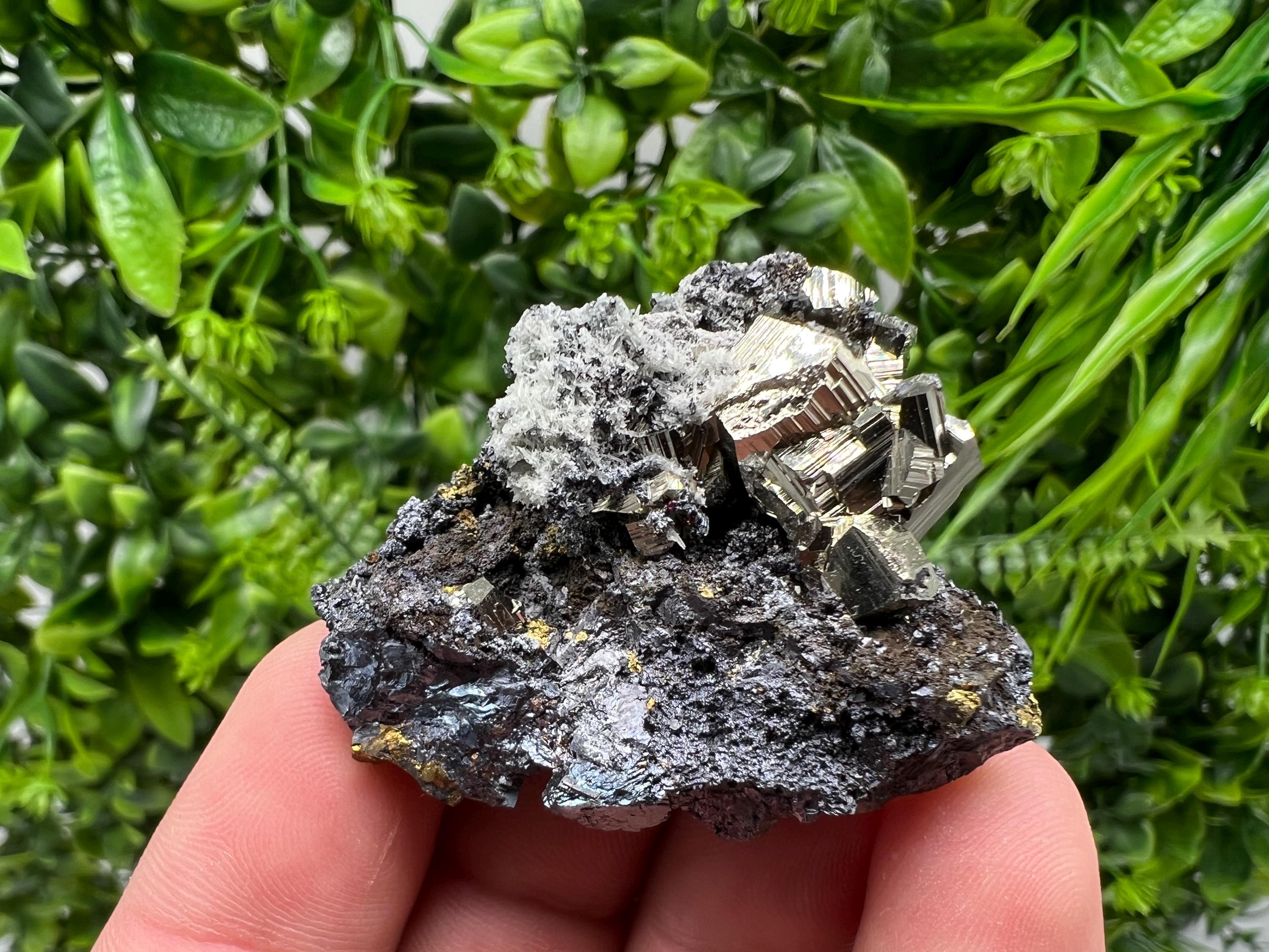 Golden Pyrite Sphalerite Cluster, Madan Bulgaria Mineral Specimen
