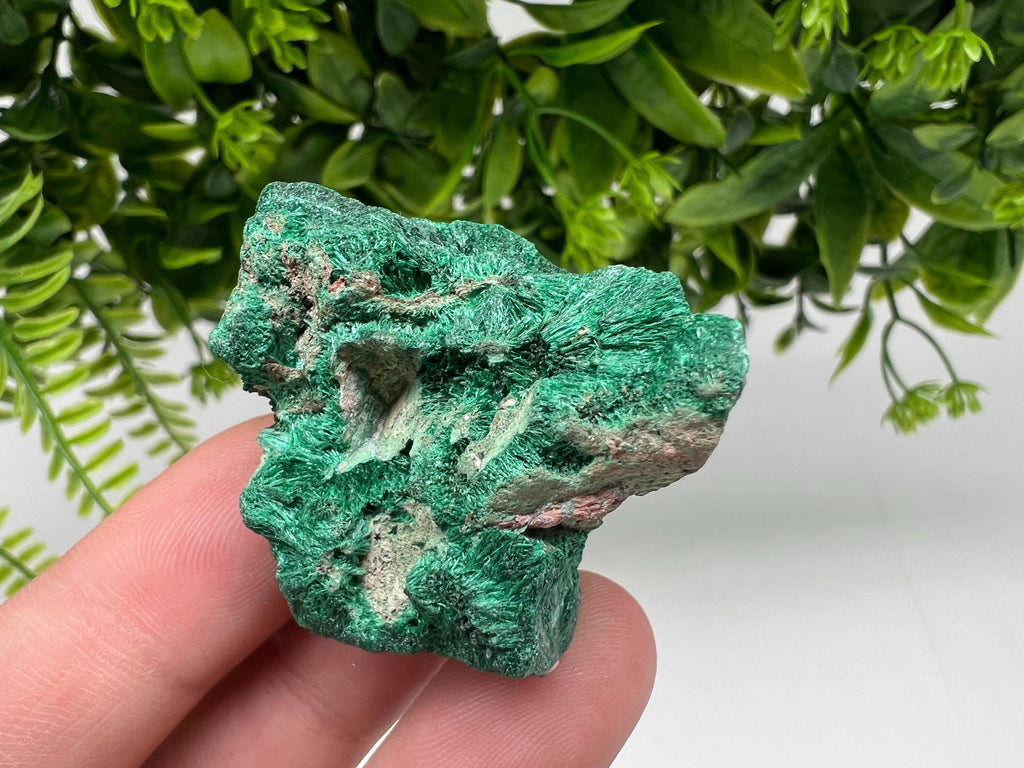 Malachite Crystal from Congo,Minerals,Crystals from Congo,Green Malachite, Malachite,Natural Malachite,Malachite Stone,Chakra, Specimens