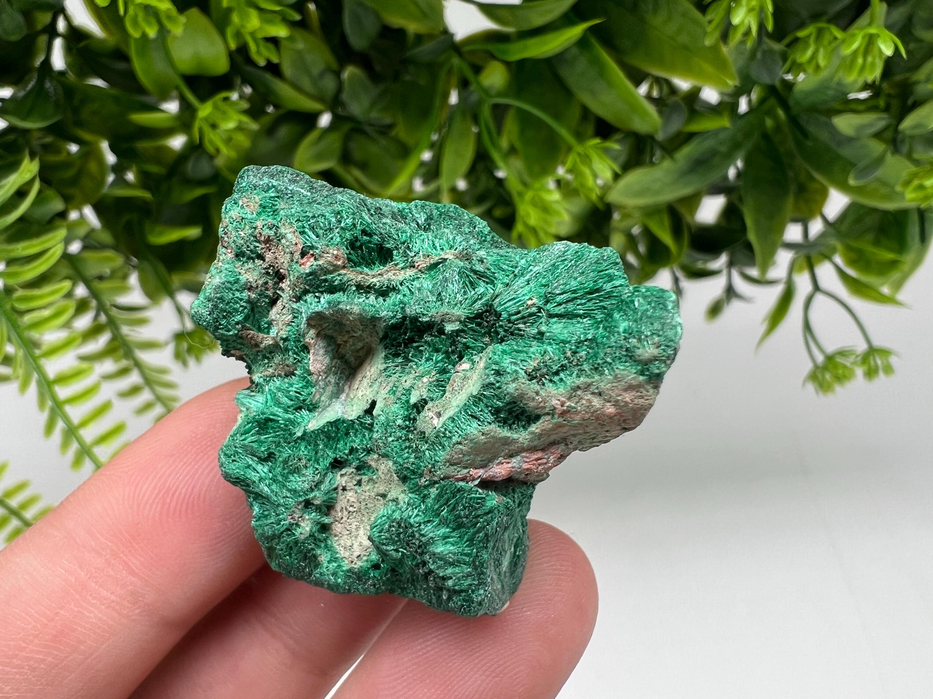 Malachite Crystal from Congo,Minerals,Crystals from Congo,Green Malachite, Malachite,Natural Malachite,Malachite Stone,Chakra, Specimens