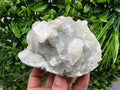 Apophyllite on Chalcedony Specimen: Transparent Crystal, India Minerals