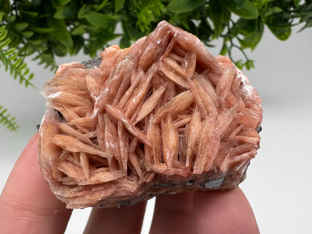 Wonderful Baryte with Cerussite on Galena from Morocco,Crystal, Mineral,Specimen,Cluster,Crystals,Barite Crystal,Cerussite Crystal,Specimen