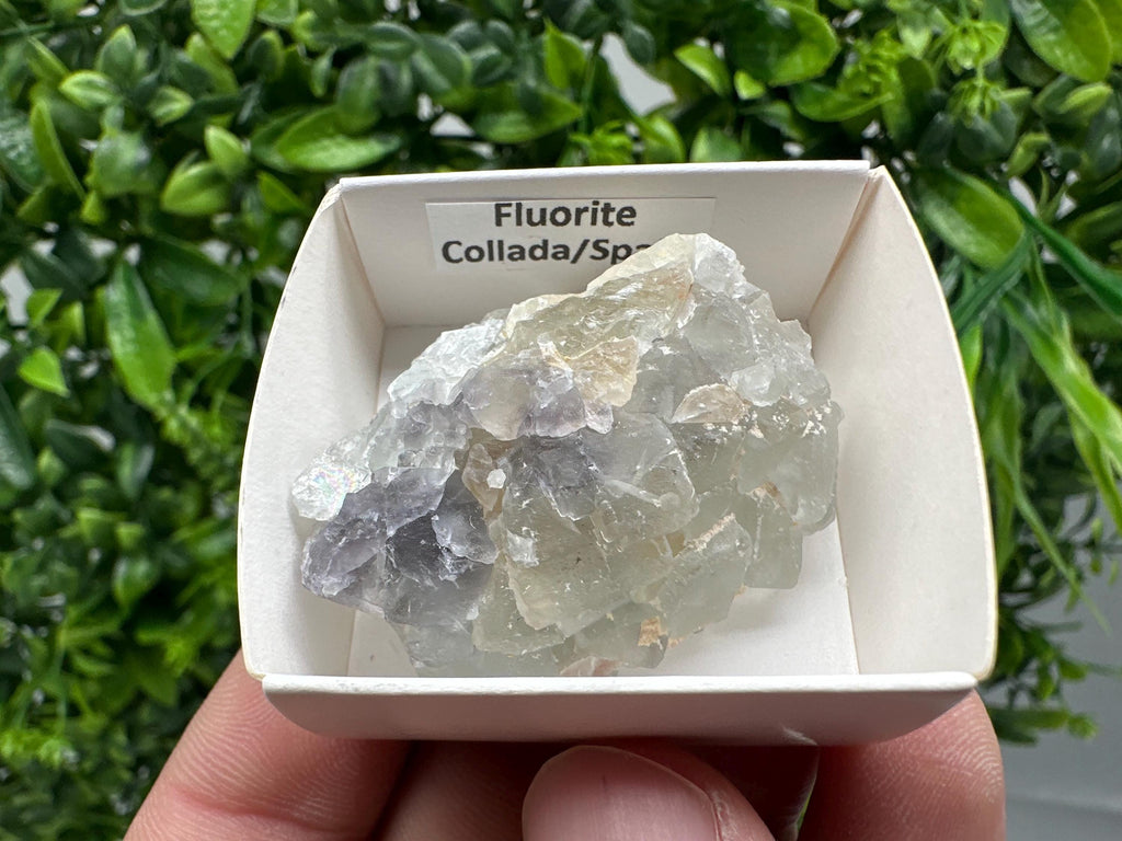 Green Raw Fluorite Cluster: Vintage Meditation Stone (4.5/3.5)