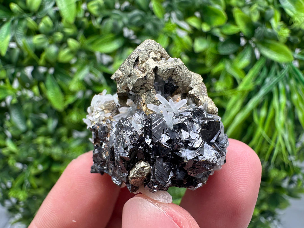 Wonderful Chalcopyrite on Sphalerite from 9 th September mine,Madan,Bulgaria,natural,collection mineral specimen,Home decor stone,Rare cryst