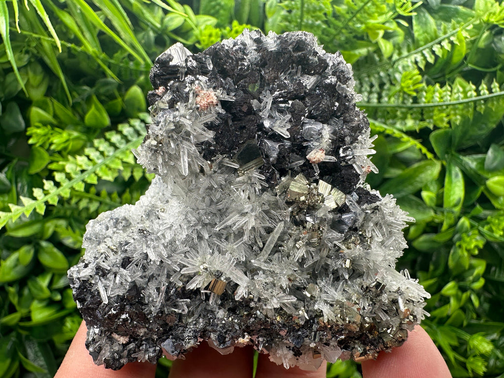 Sphalerite Galena Pyrite on Quartz, Borieva Mine Mineral Specimen