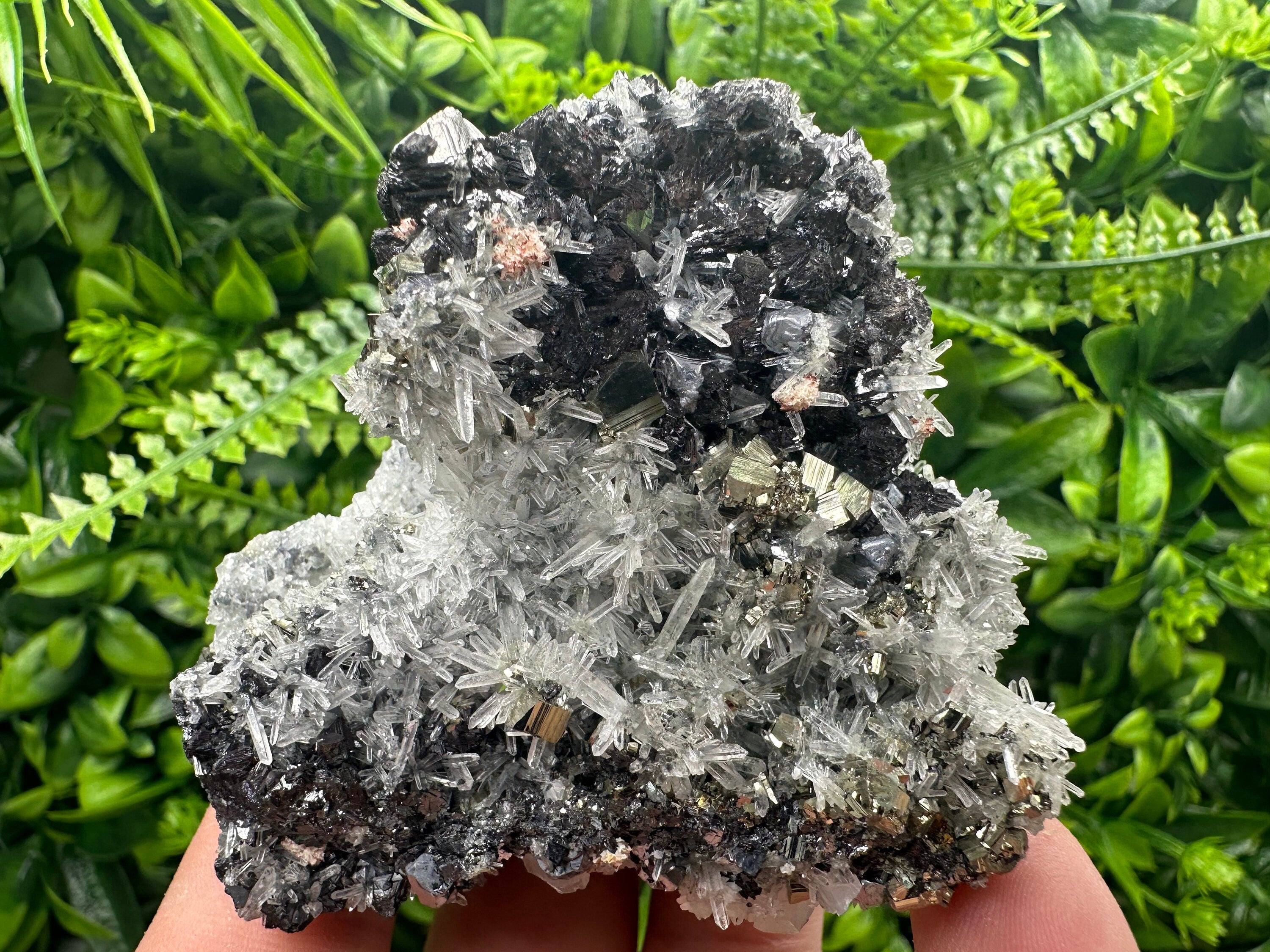 Sphalerite Galena Pyrite on Quartz, Borieva Mine Mineral Specimen