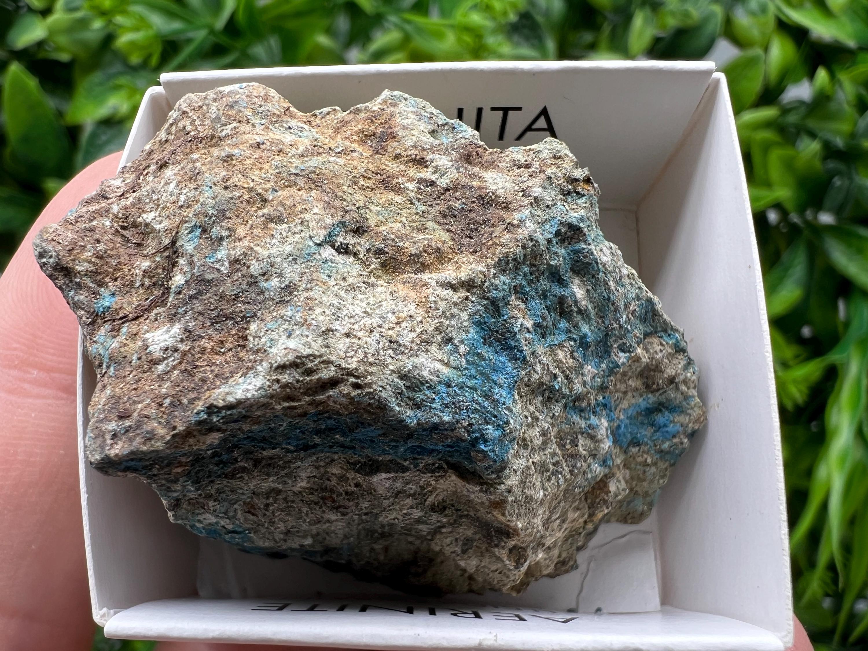 Rare Raw Aerinite Mineral Specimen: Collection Crystal from Lleida, Spain (5/3.5 CM)
