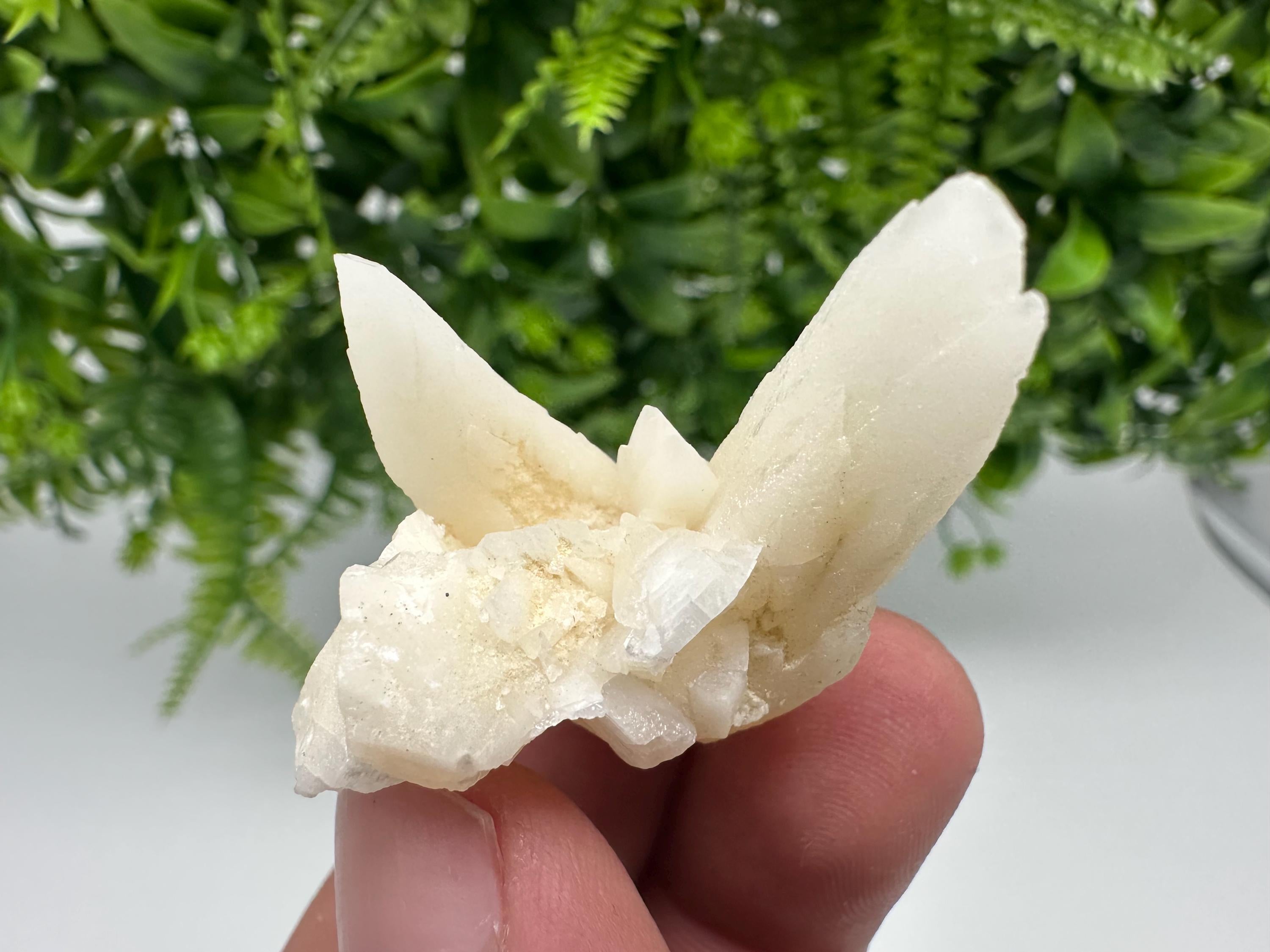 Calcite on Aragonite: Djurcovo Mine, Bulgaria Crystal