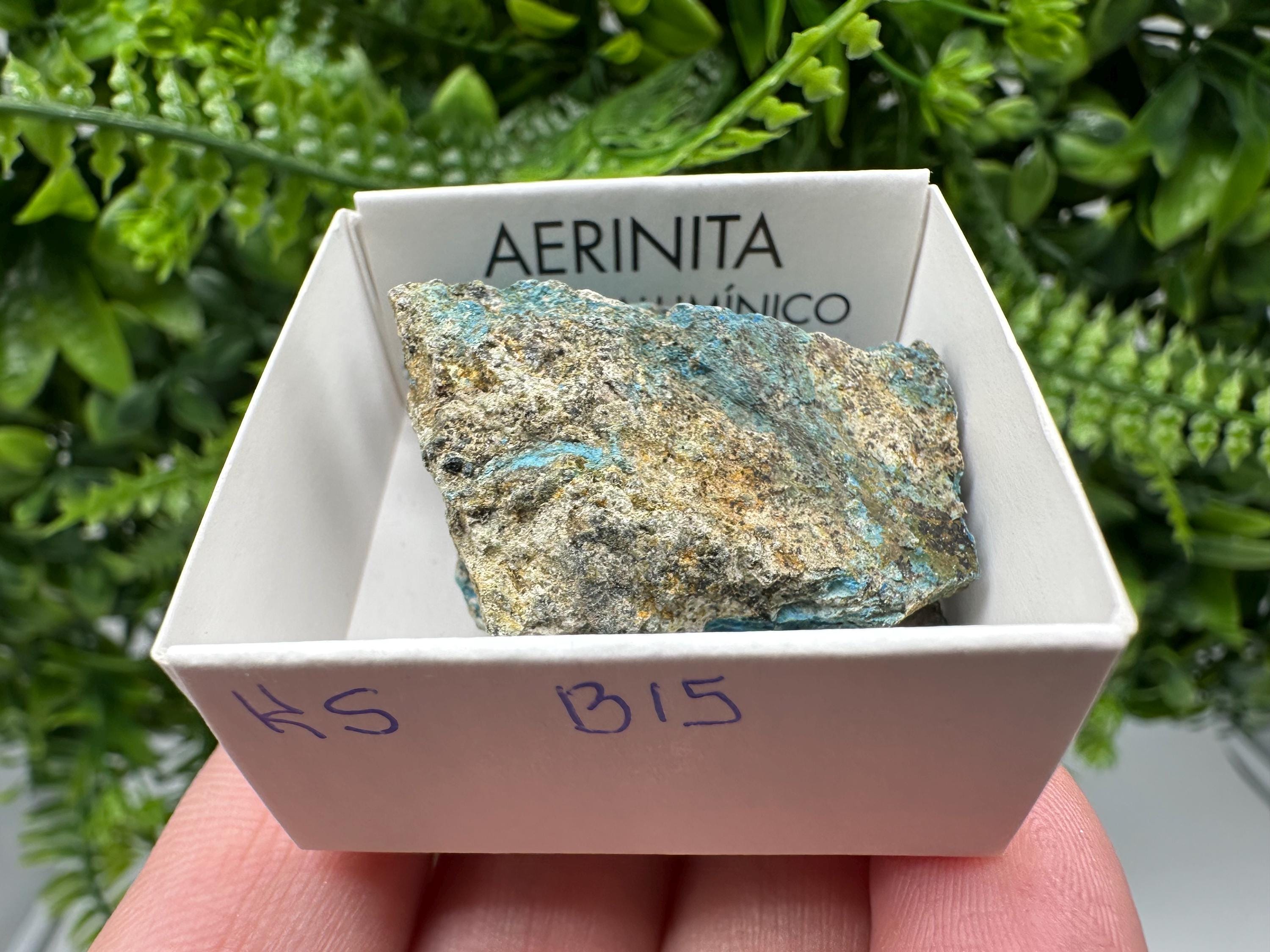 Rare Raw Aerinite Mineral Specimen: Lleida, Spain Crystal