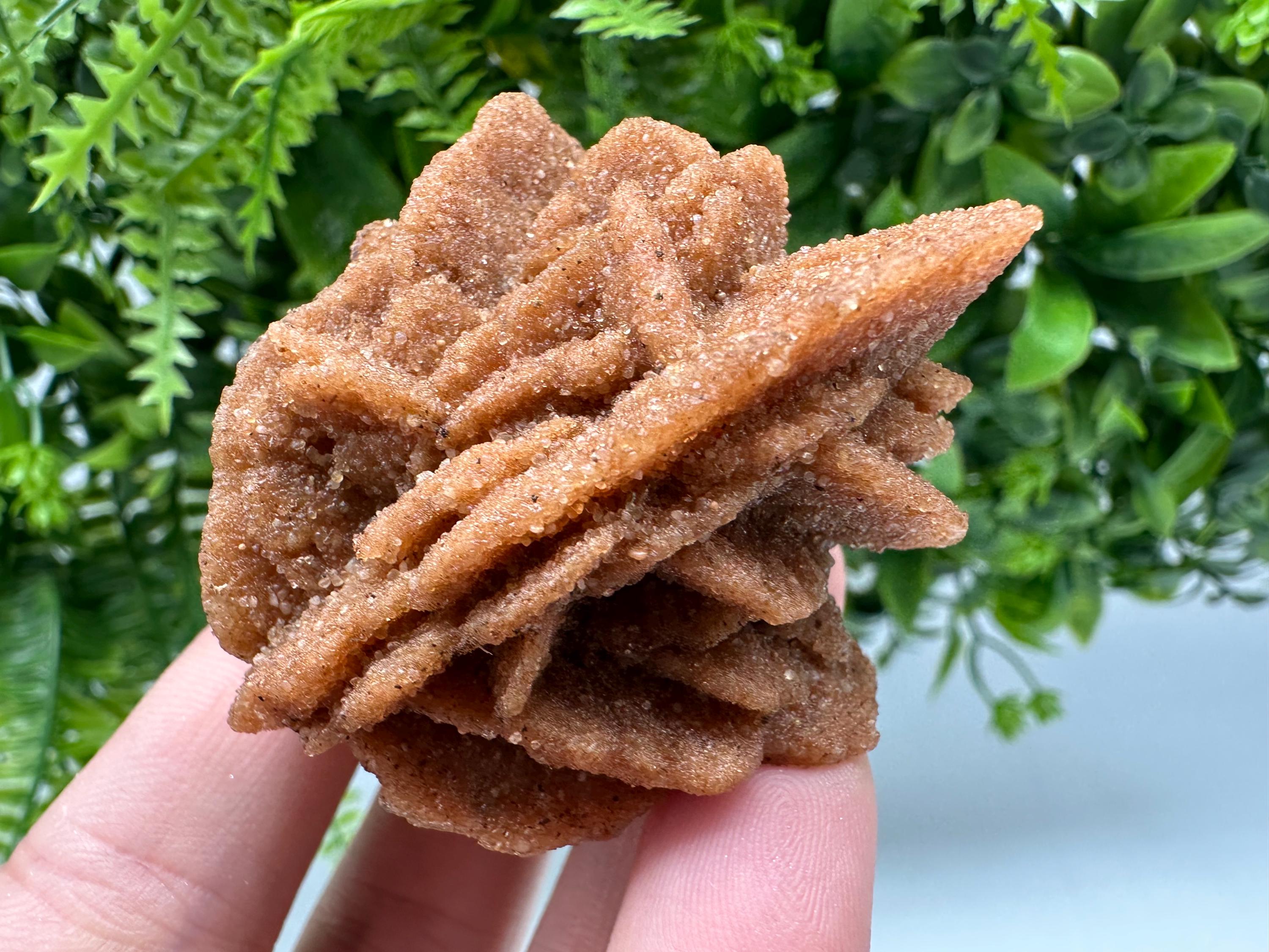 Natural Desert Rose Crystal - Root Chakra Healing Selenite