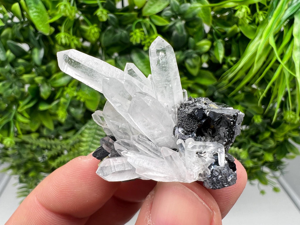 Aesthetic Natural shiny Galena whit Siderite and Quartz from 9 th September mine,Bulgaria,collection specimen,rare galena,Galena cluster