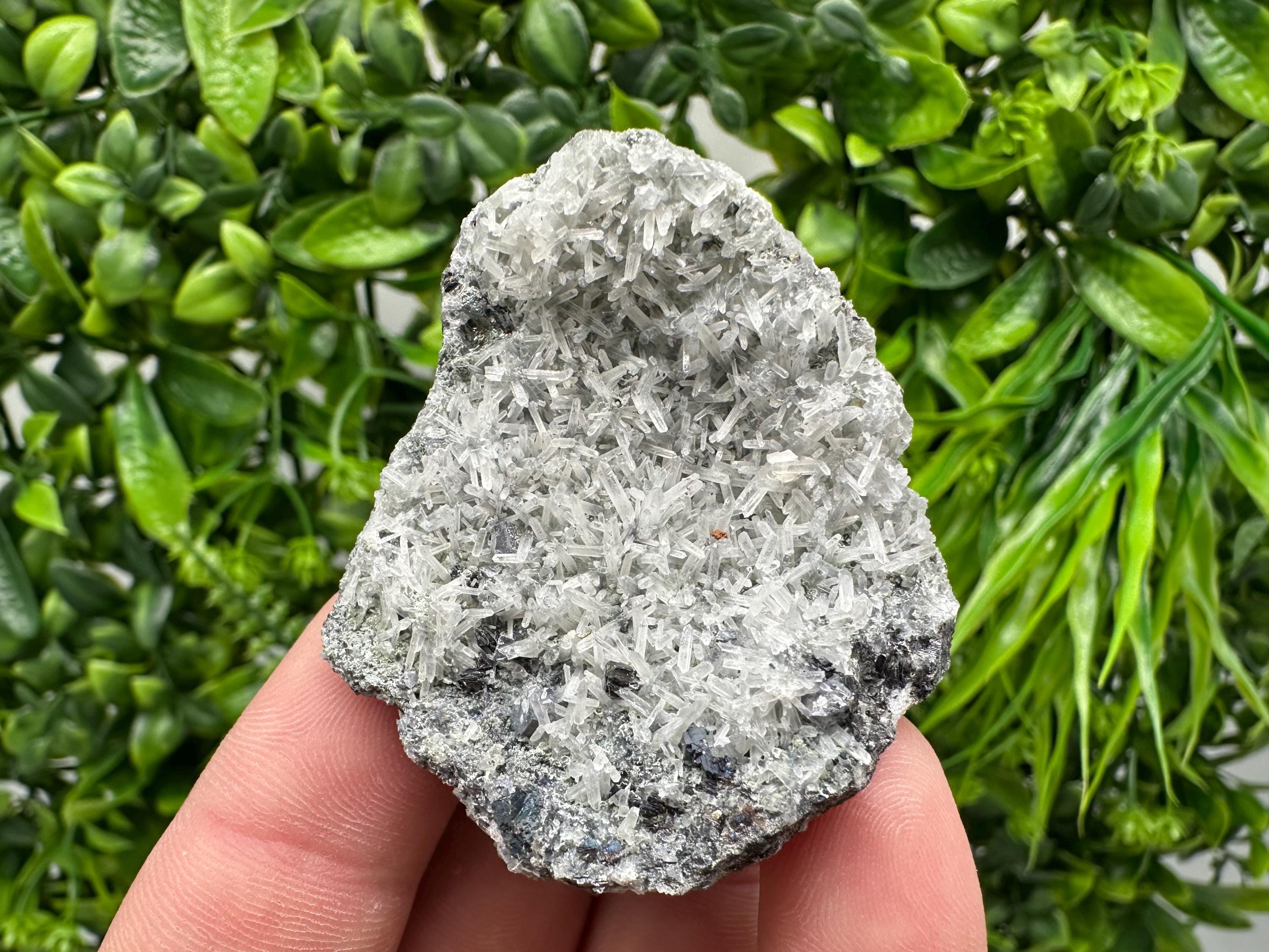 Pyrite on Green Quartz Specimen: Borieva Mine Mineral Decor