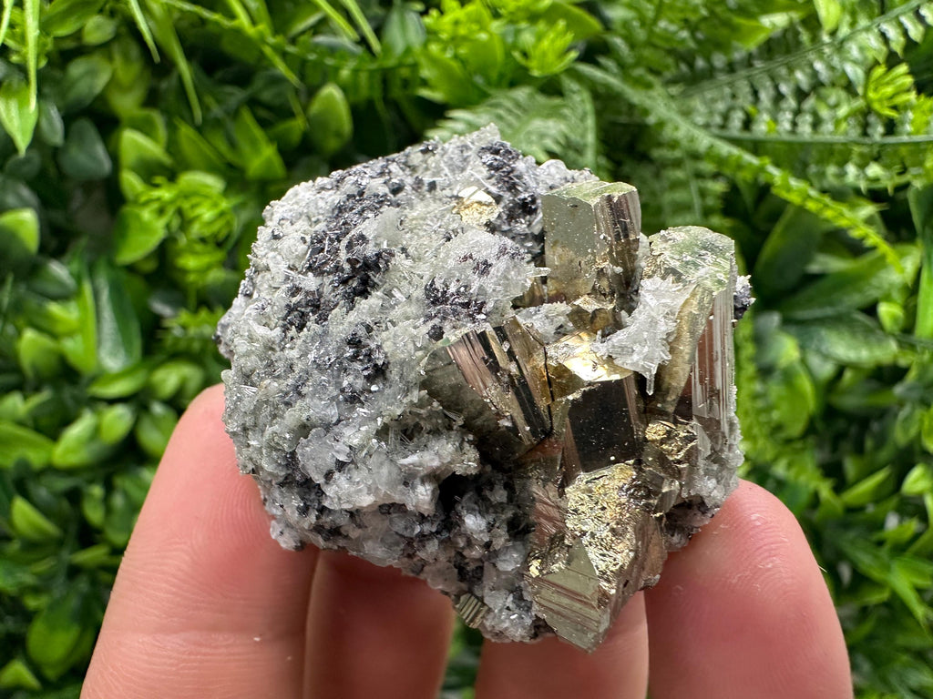 Sphalerite Pyrite on Quartz with Chlorite, Borieva Mine Mineral Specimen
