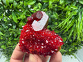 XXL Laboratory Pruskite Ruby Crystal on Matrix