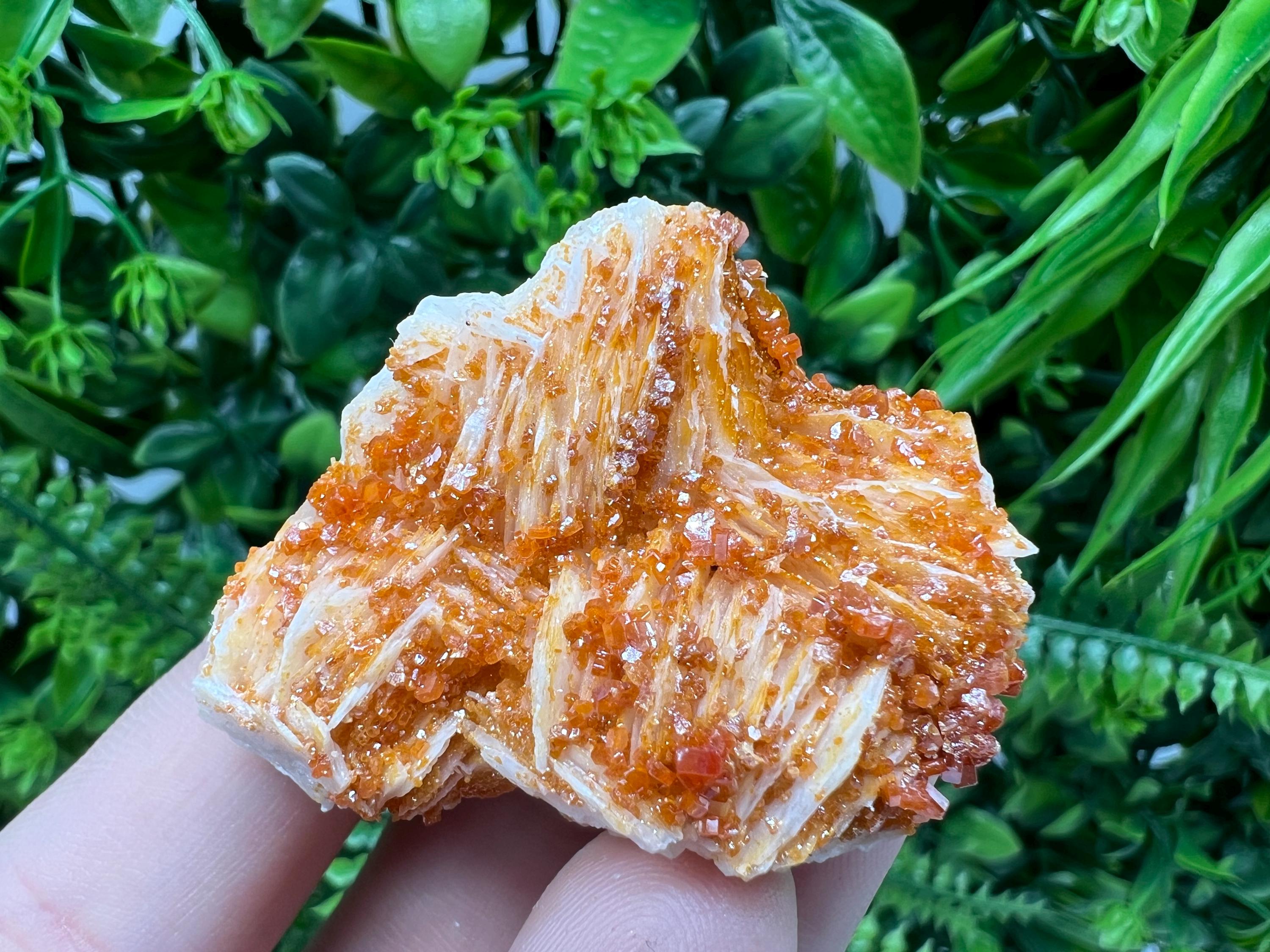 Red Vanadinite on Barite from Marocco,crystal minerals Speciment cluster Vanadinite crystal Vanadinite Geology Vanadinite cluster minerals