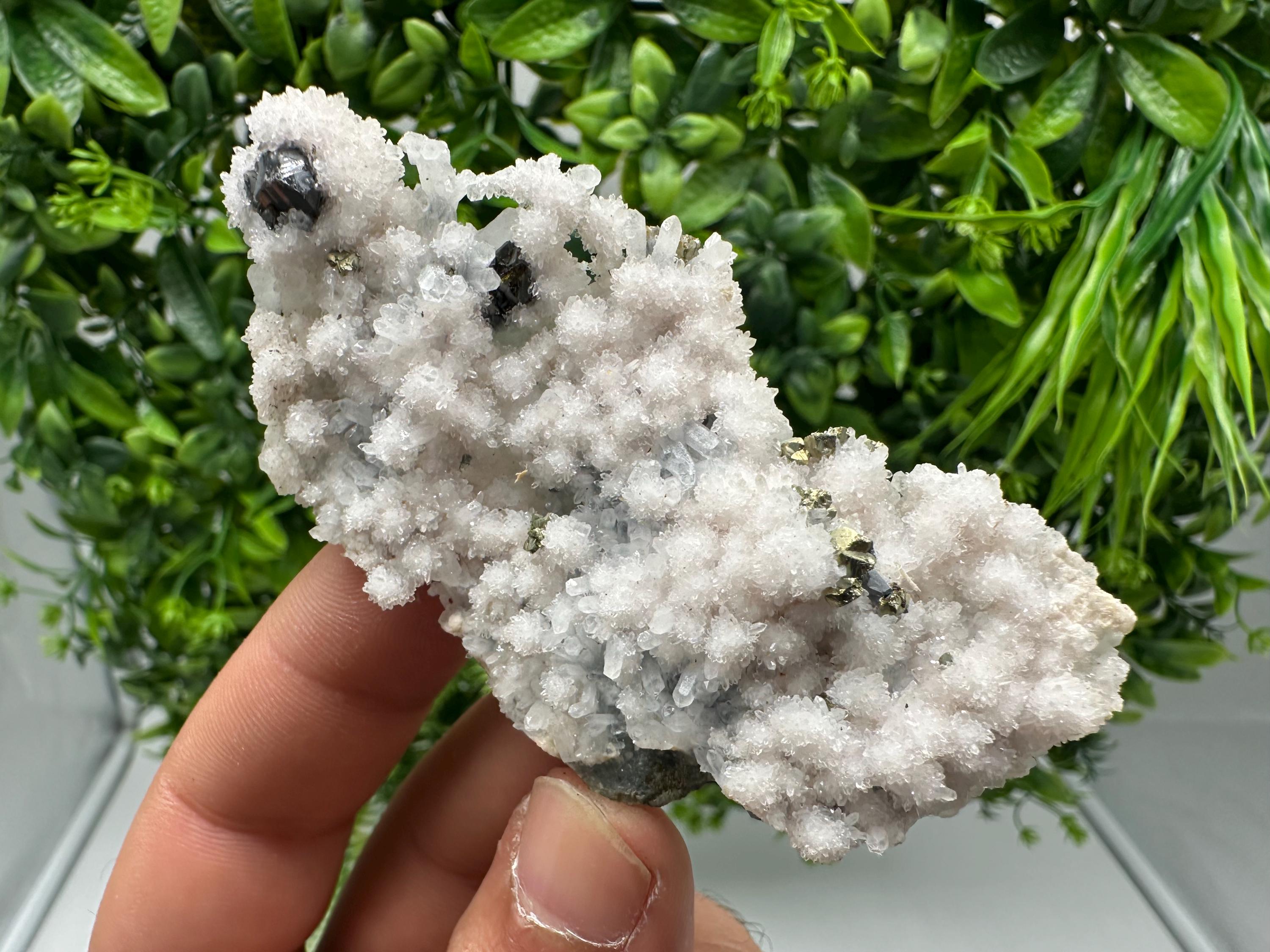 Chalcopyrite on Quartz Specimen: Krushev dol Mine, Bulgaria