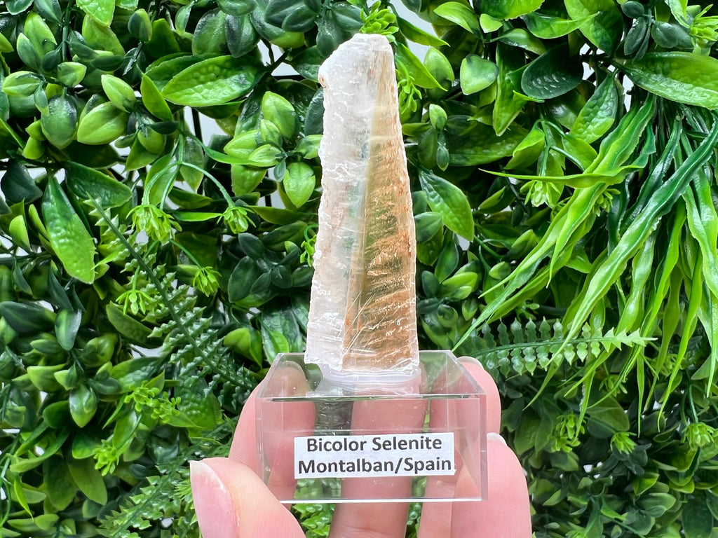 Golden Phantom Selenite Slab: Utah Raw Crystal Wand