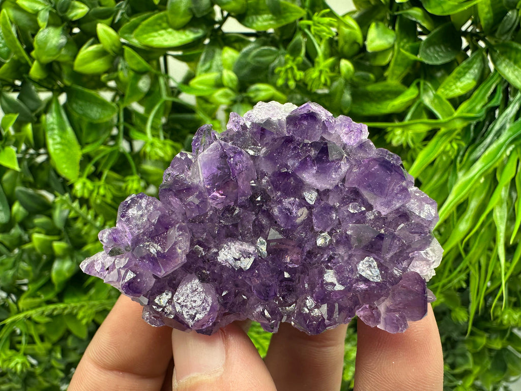 Uruguay Amethyst Cluster: Purple Quartz Crystal, Home Decor