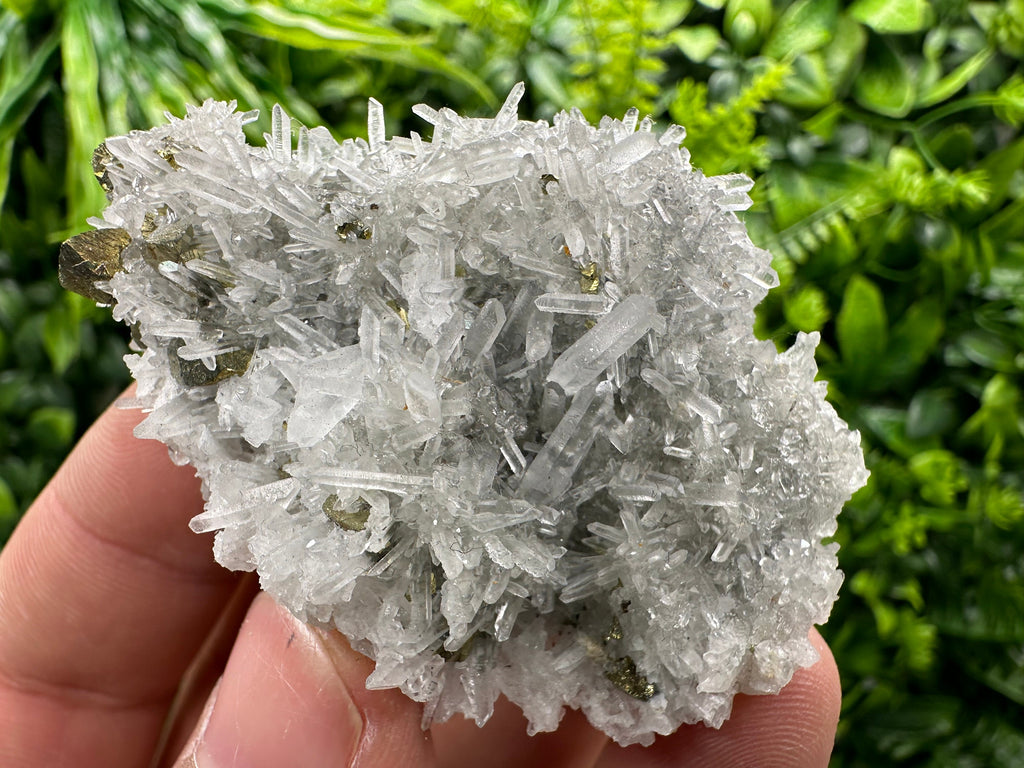 Chalcopyrite on Quartz Crystal: Borieva Mine, Bulgaria