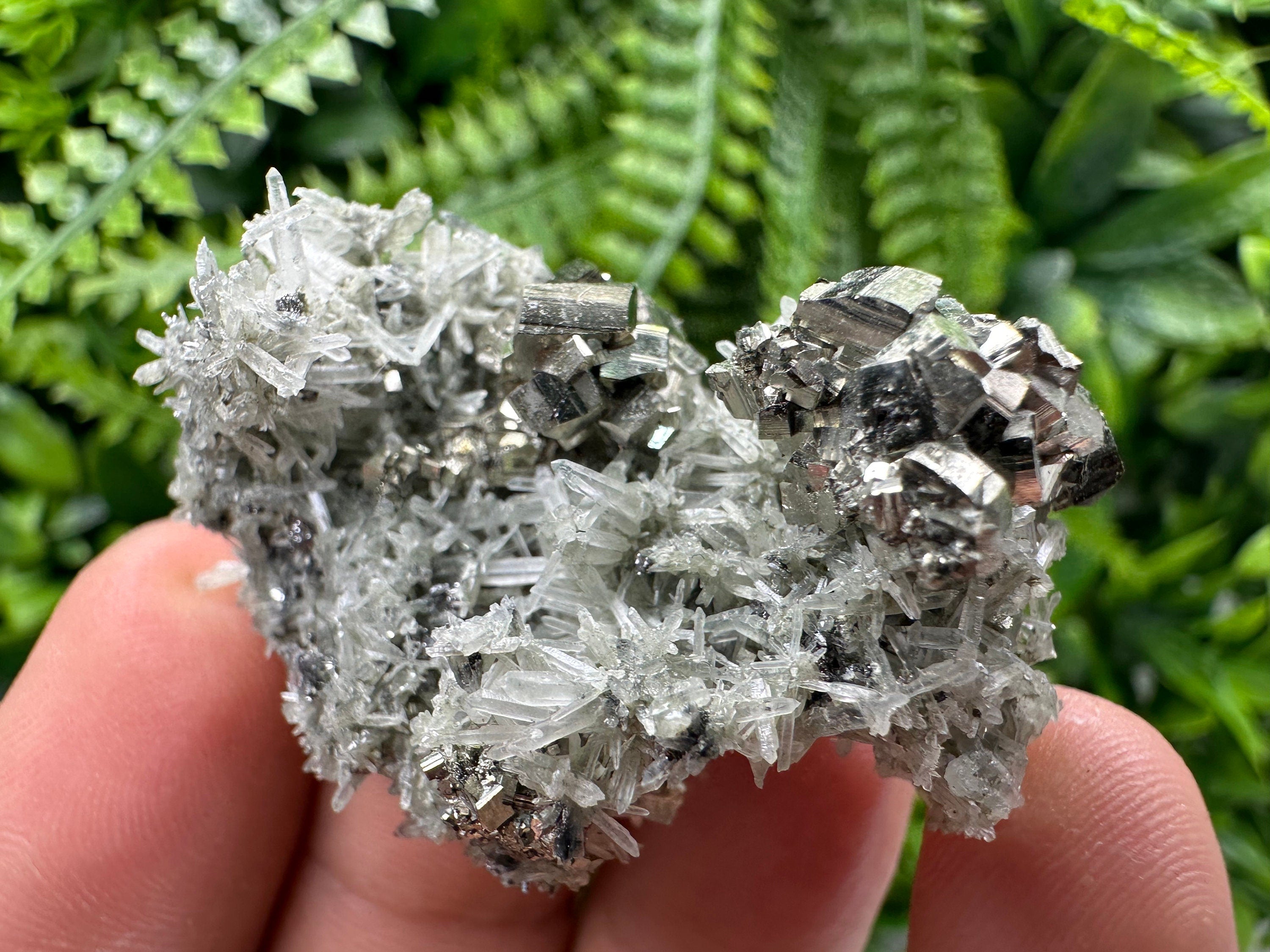 Pyrite on Green Quartz, Borieva Mine Mineral Specimen