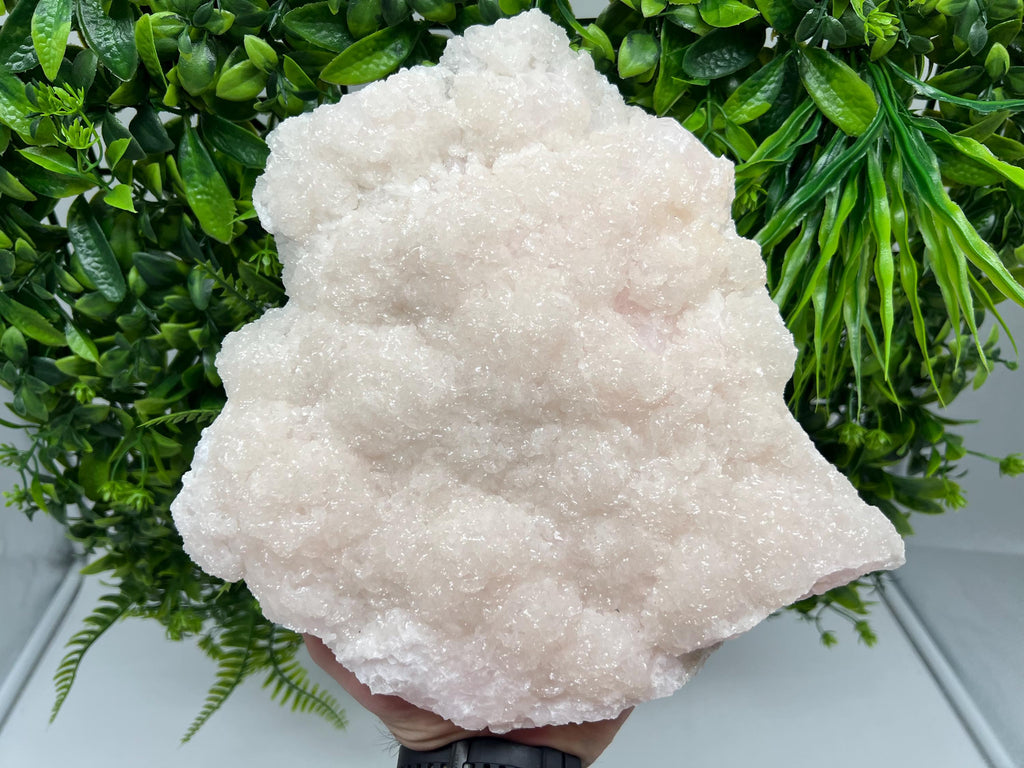 Mangano Calcite with Galena, Borieva Mine, Bulgaria