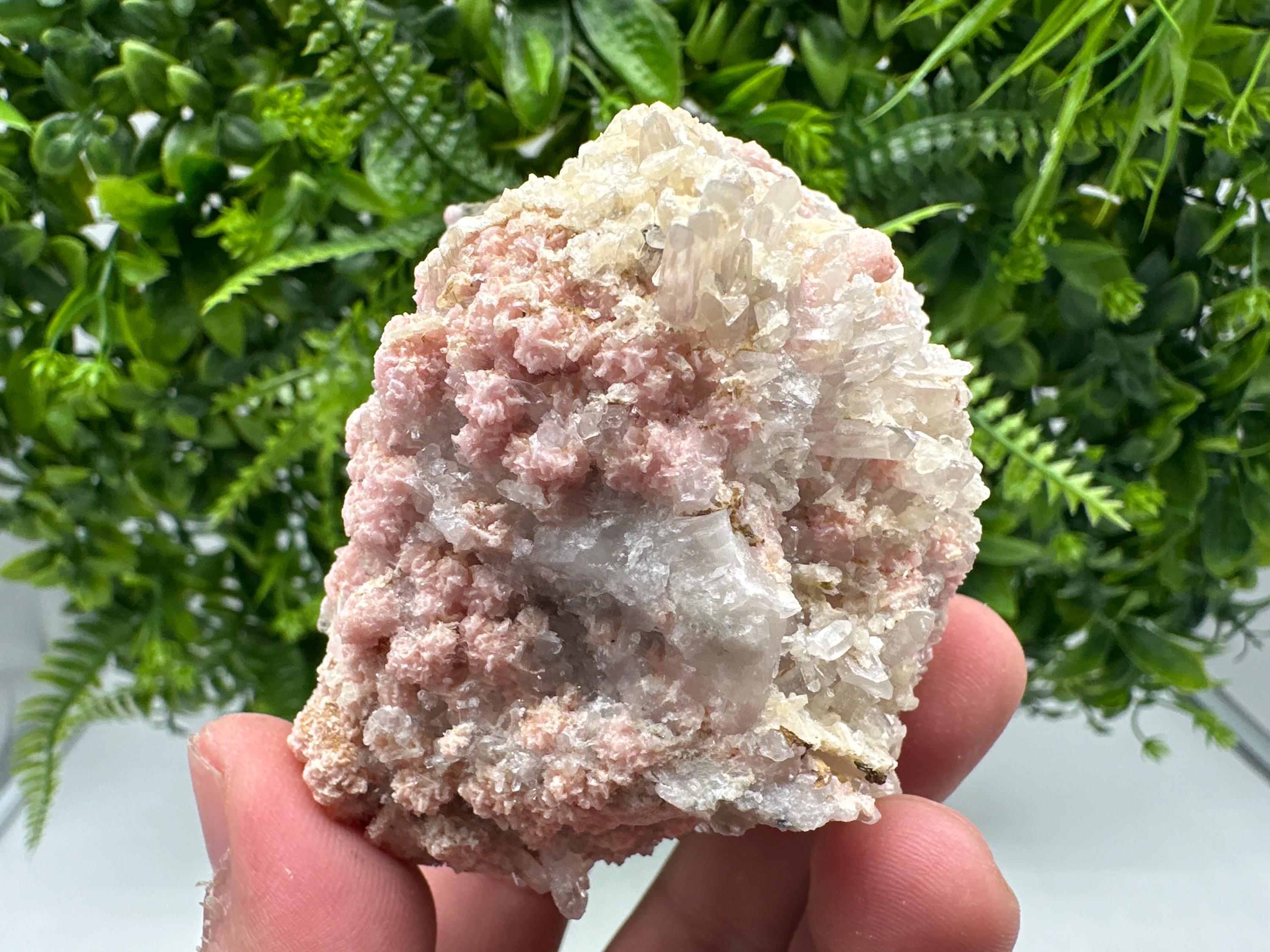 Pink Rhodochrosite Mineral Specimen: Starnica Mine, Bulgaria