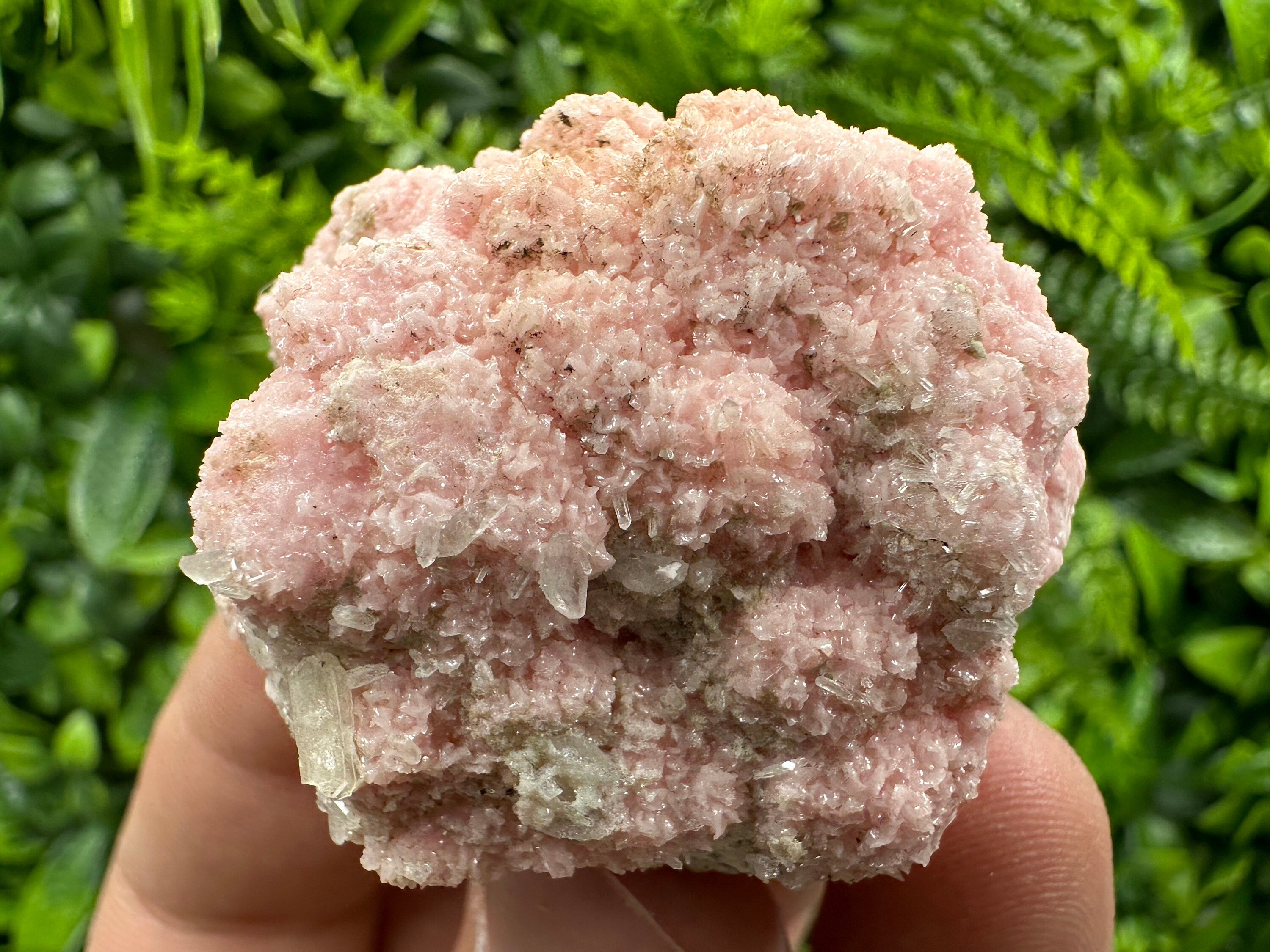 Pink Rhodochrosite Crystal: Starnica Mine, Bulgaria - Home Decor Stone