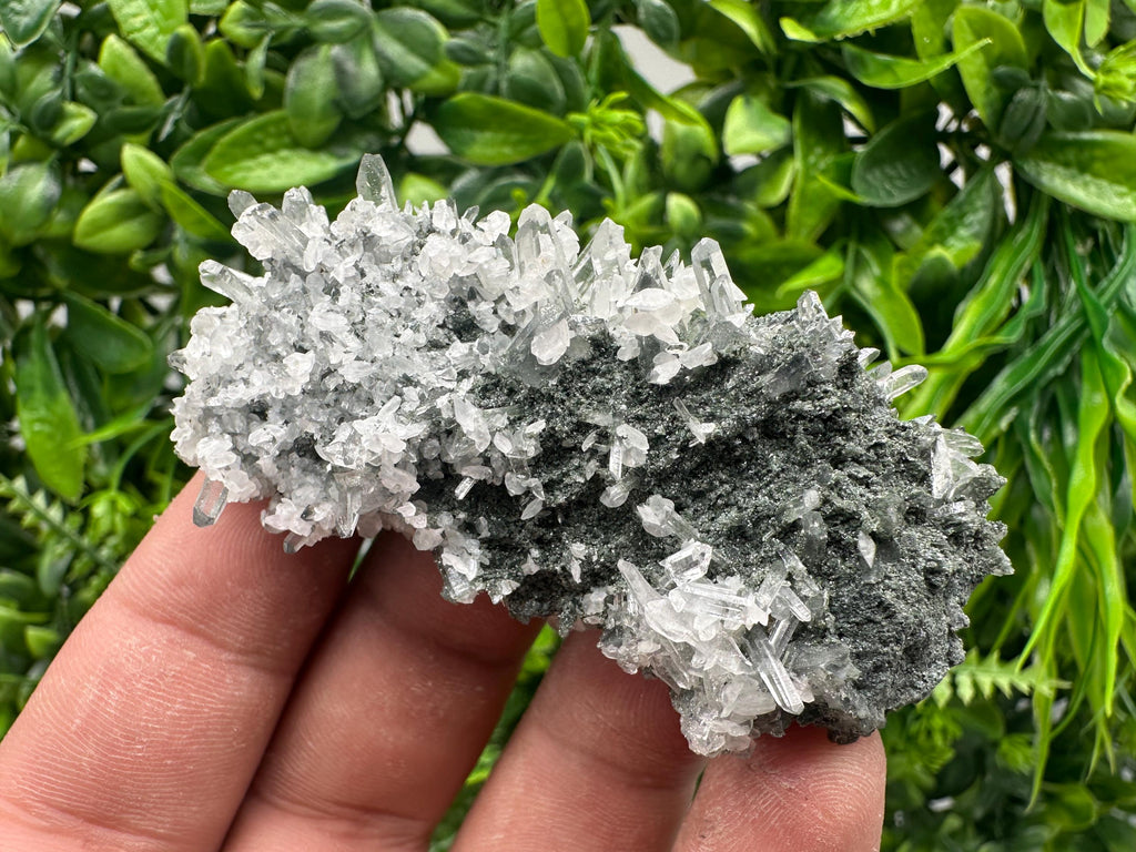 Transparent Quartz on Chlorite Matrix, Borieva Mine Mineral Specimen