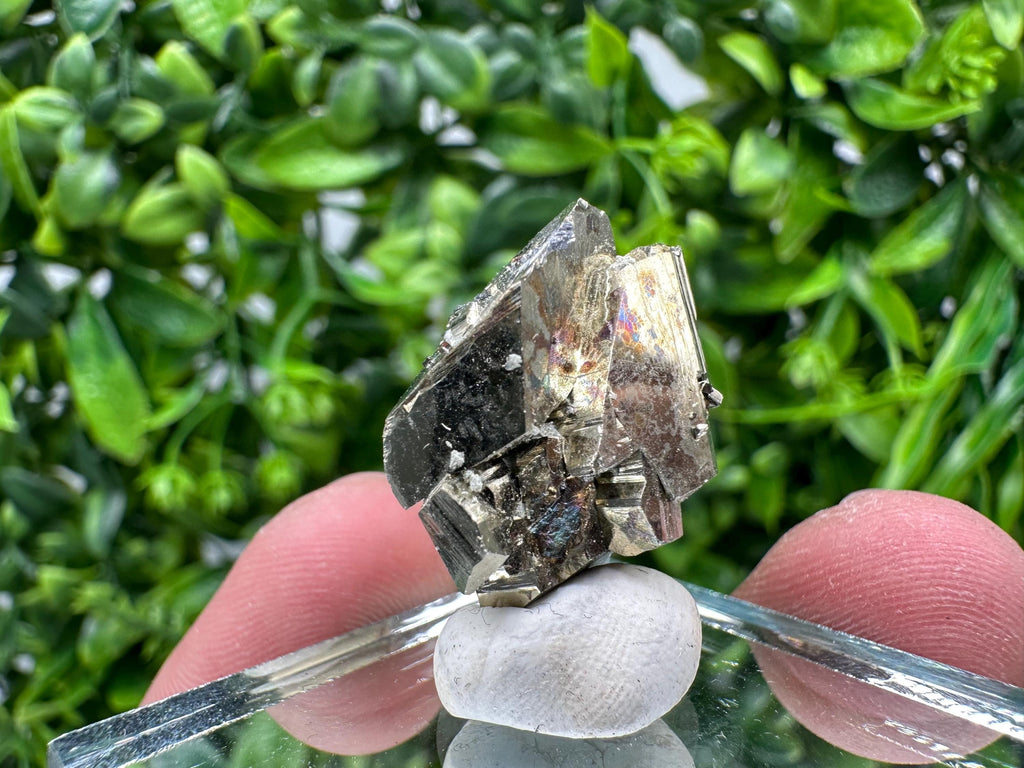 Rare Crystallized Pyrite Specimen: Borieva Mine, Bulgaria