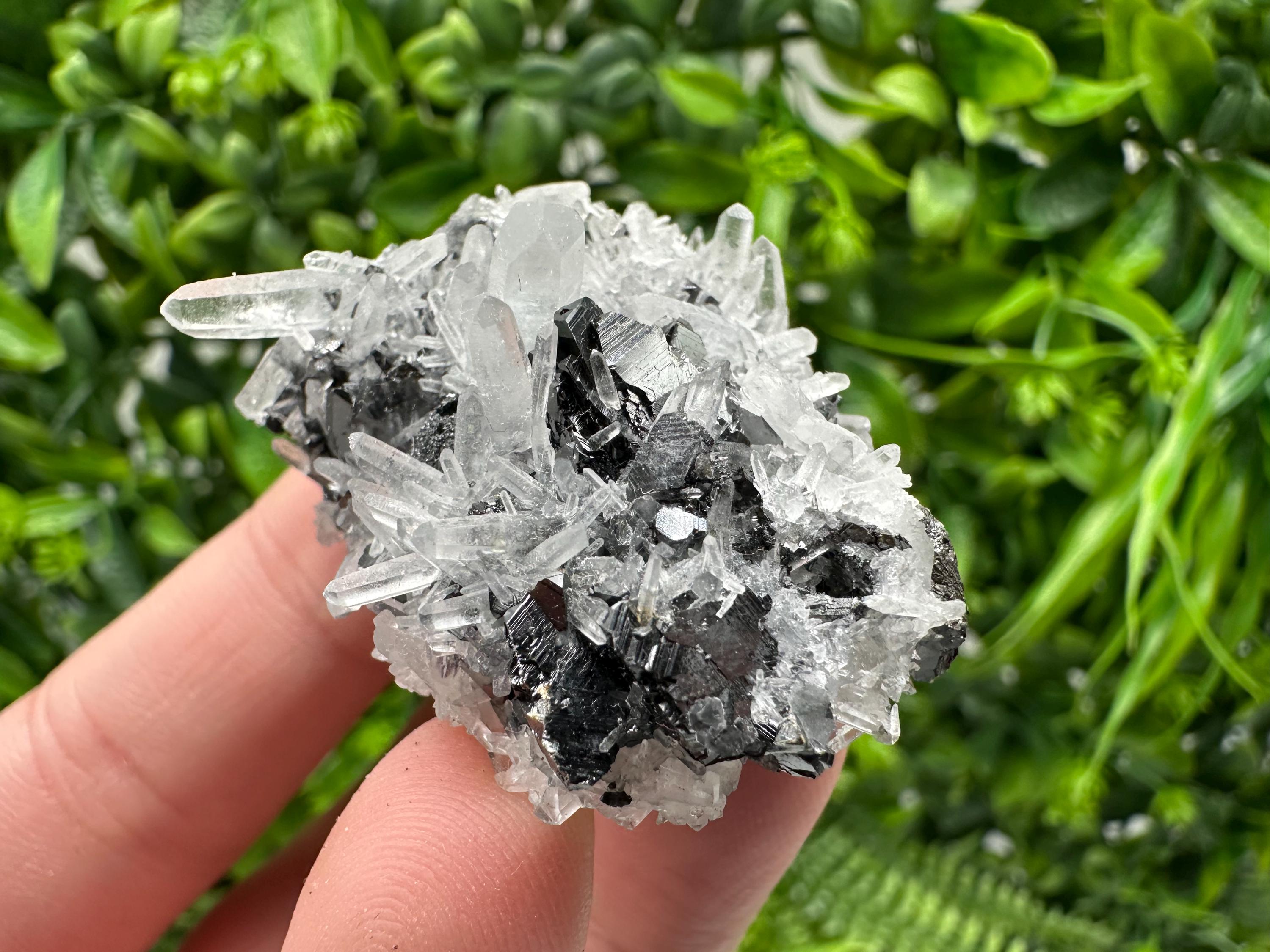 Wonderful Sphalerite Chalcopyrite on  Quartz whit Galena feom 9 th September mine,Bulgaria,natural,collection mineral specimen,gift