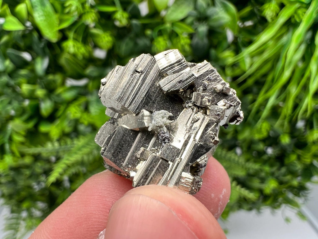 Rainbow Pyrite Cluster: Borieva Mine, Bulgaria - Mini Collection