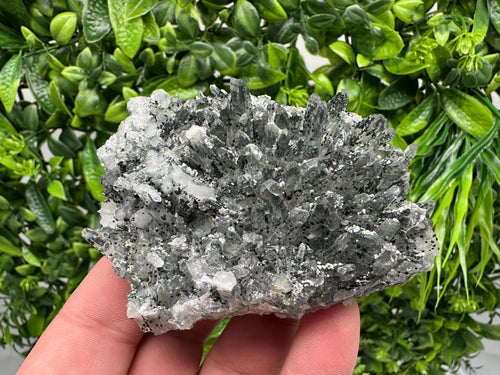 Chlorite Quartz Crystal Cluster - Borieva Mine, Bulgaria