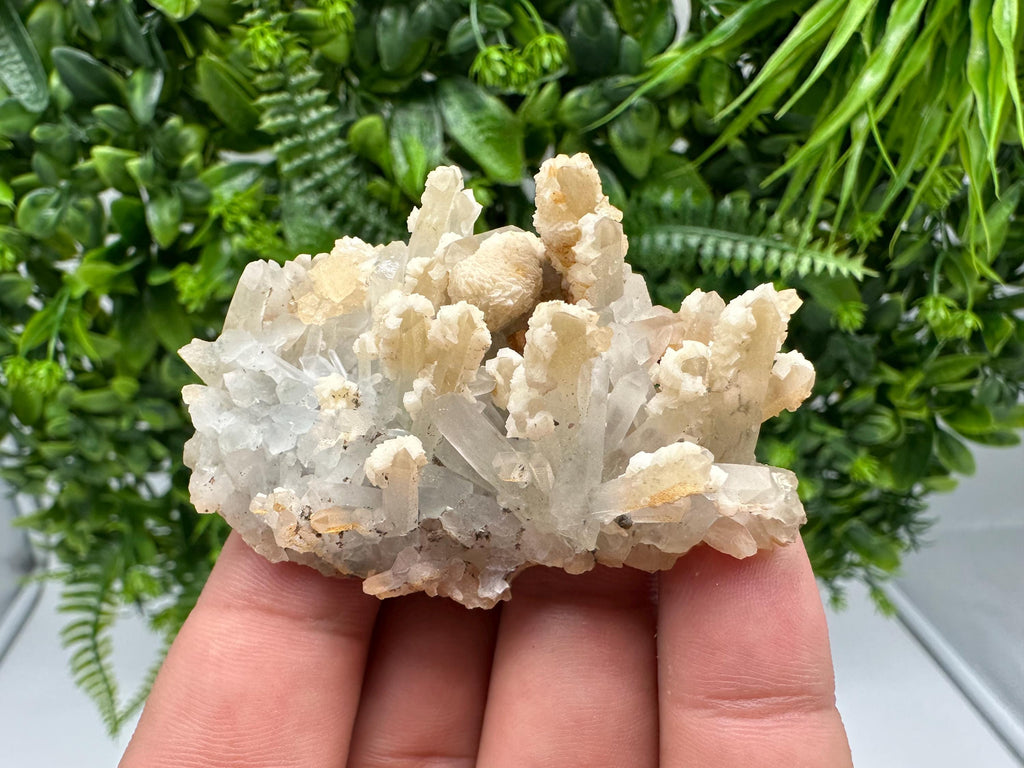 Calcite on Green Quartz: Djurcovo Mine, Bulgaria - Healing Crystal