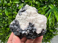 Stunning Shpinel Galena on Sphalerite,Calcite from Borieva mine,Madan,Bulgaria,Natural,collectible mineral specimen,home decor,collectible’s