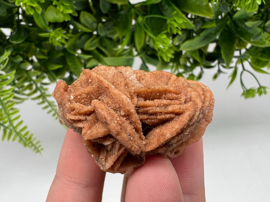 Desert Rose Crystal: Root Chakra Healing Selenite Stone