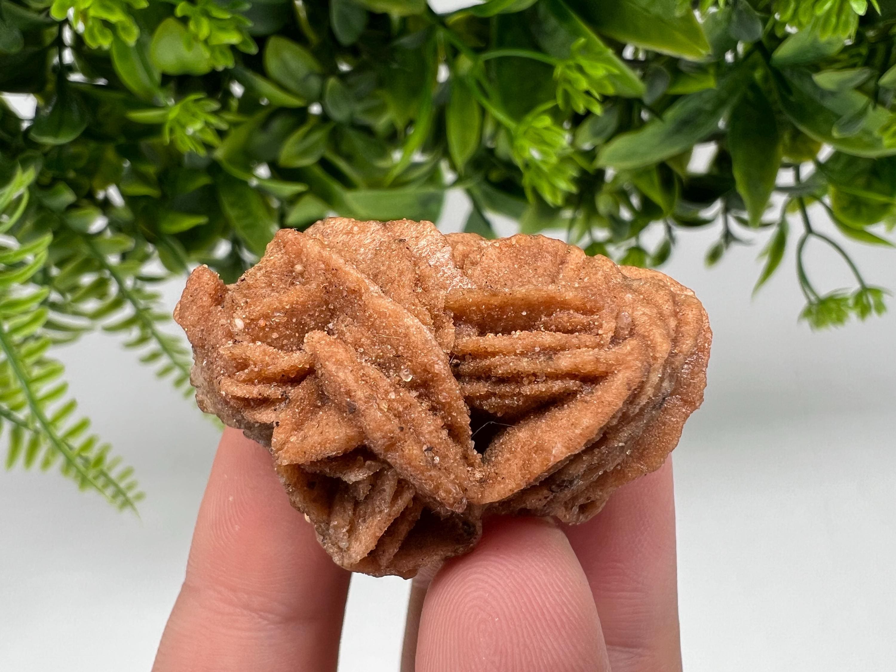 Desert Rose Crystal: Root Chakra Healing Selenite Stone