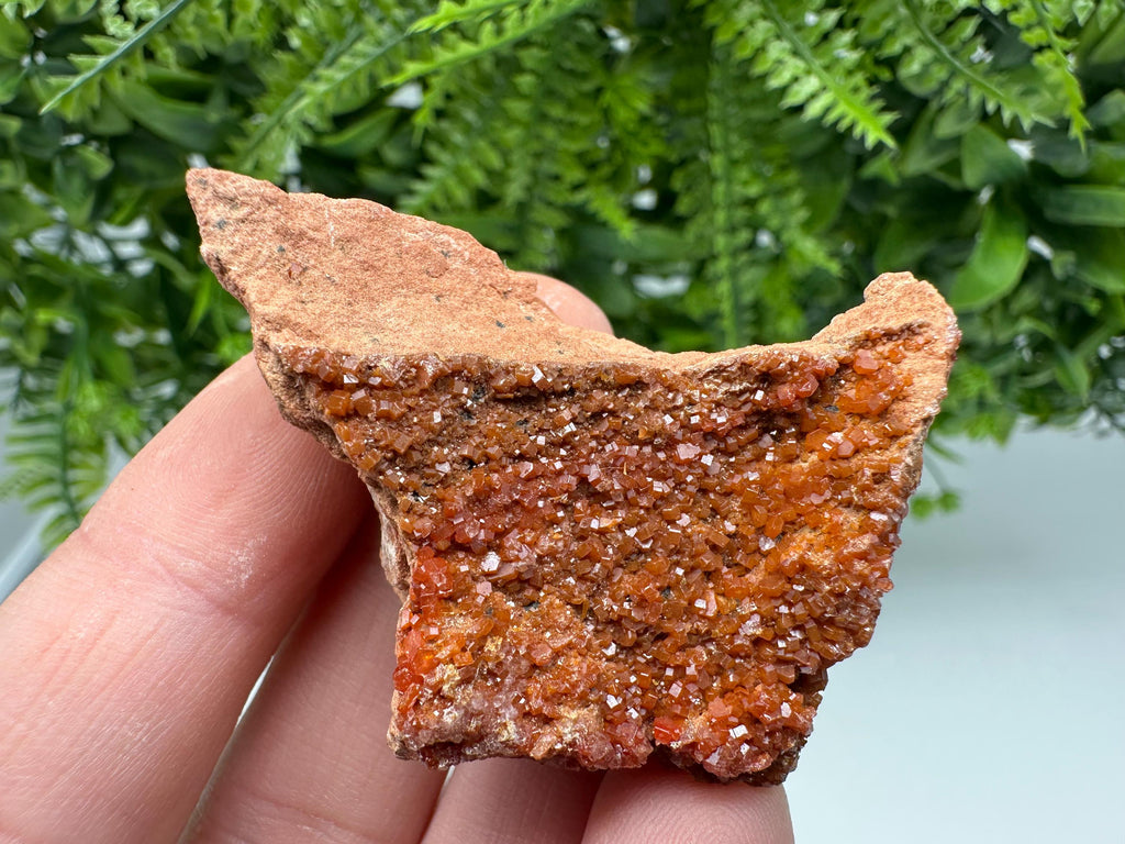 Red Vanadinite on Matrix from Marocco,crystal minerals Speciment cluster Vanadinite crystal Vanadinite Geology Vanadinite cluster minerals