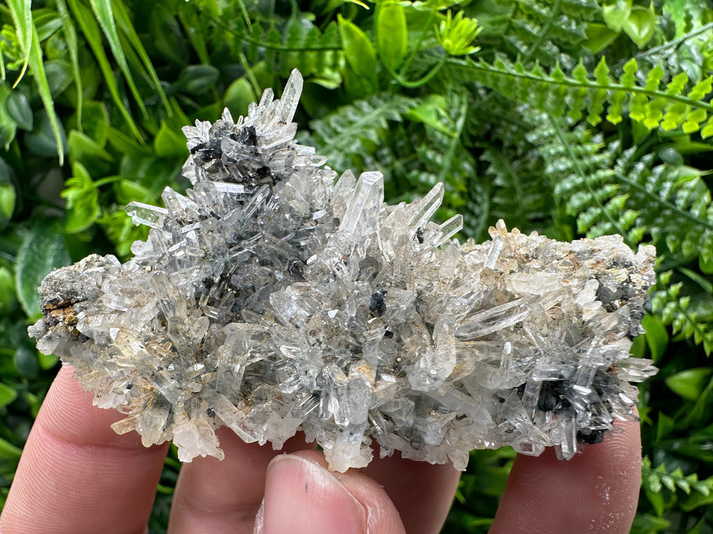 Pyrite Sphalerite on Quartz, Borieva Mine, Bulgaria (8/6/3 cm)