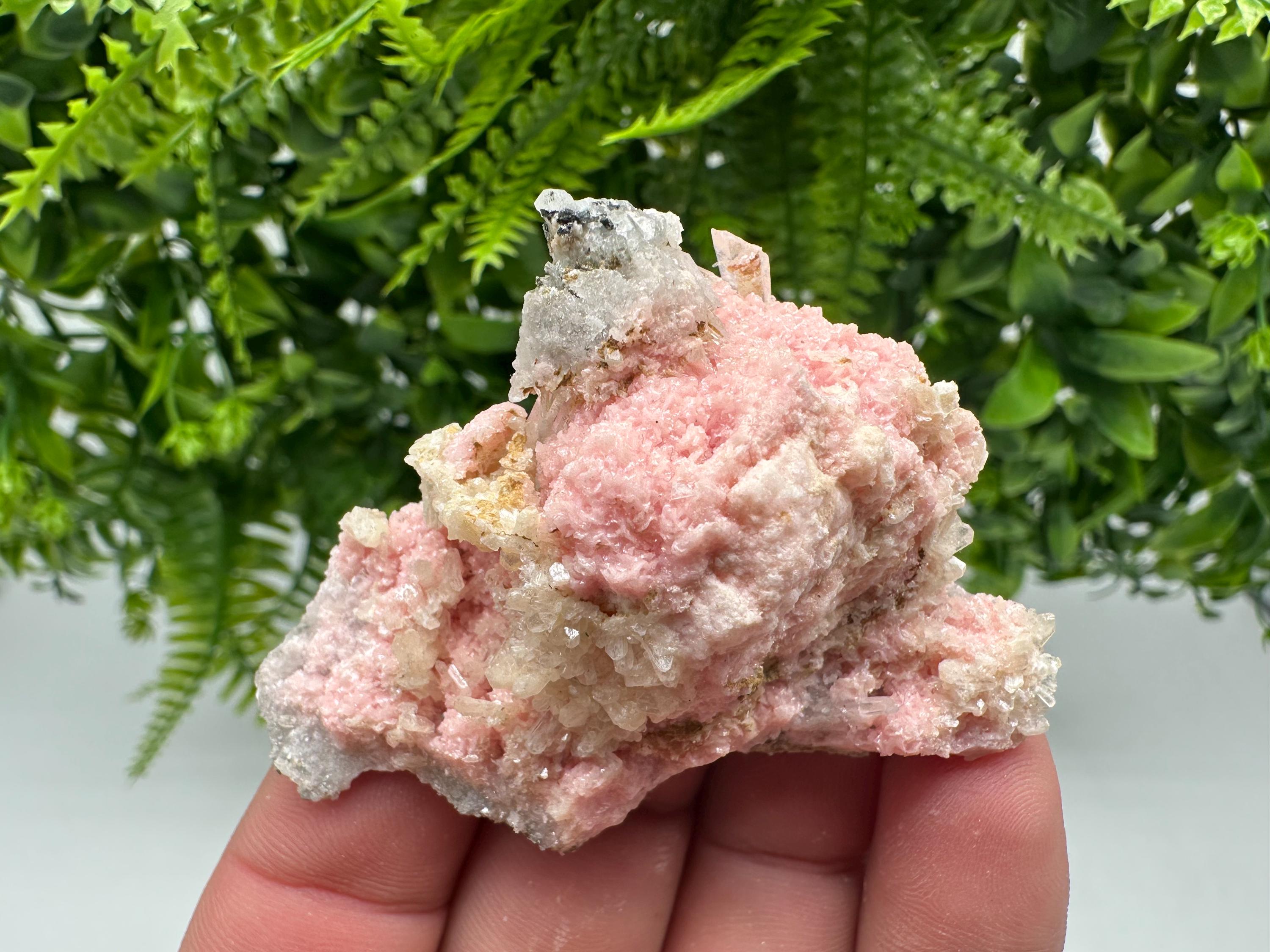 Pink Rhodochrosite Mineral Specimen, Starnica Mine, Bulgaria