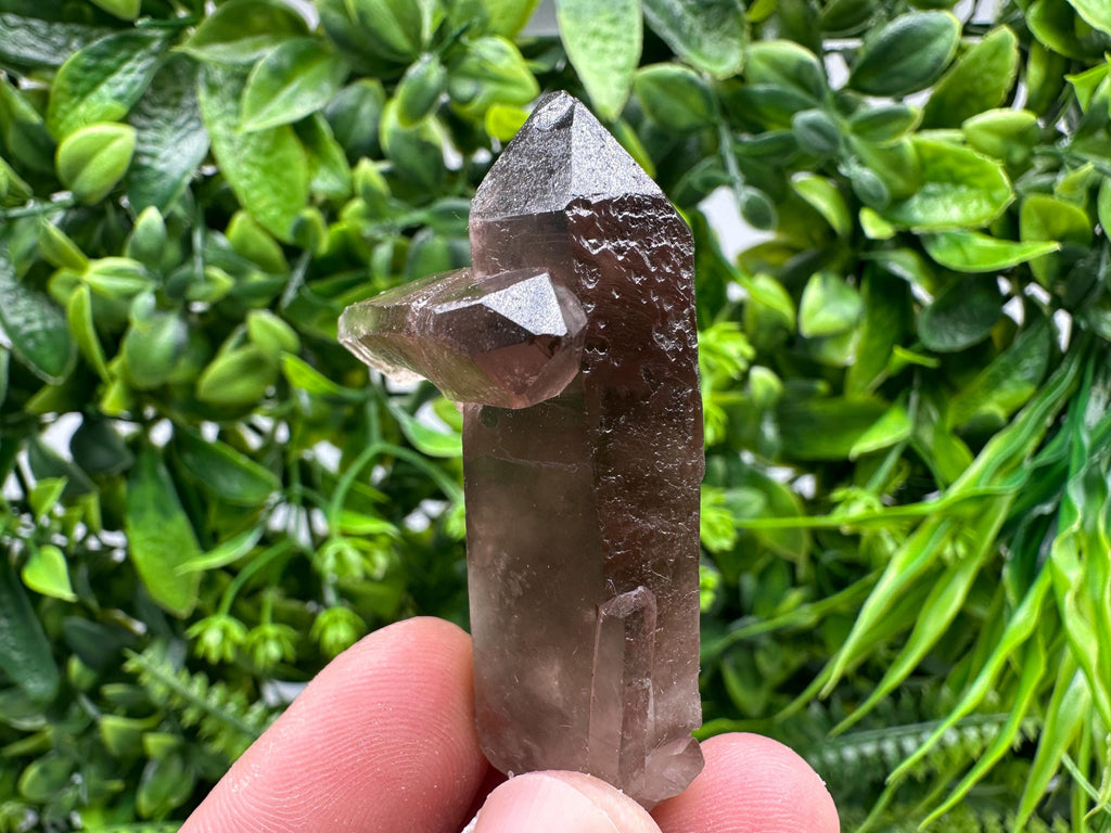 Rare Smoky Quartz Crystal Specimen, Brazil