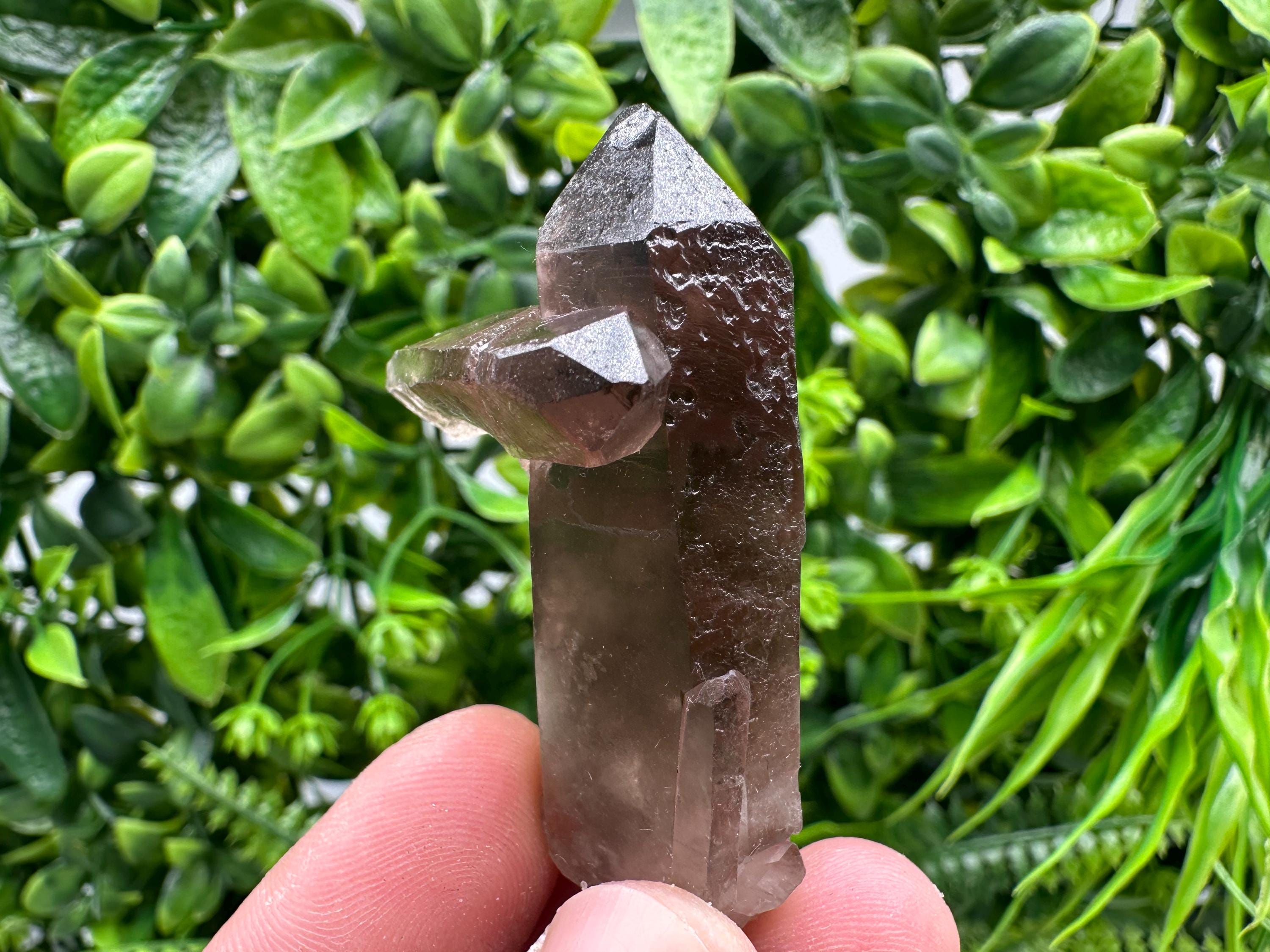 Rare Smoky Quartz Crystal Specimen, Brazil