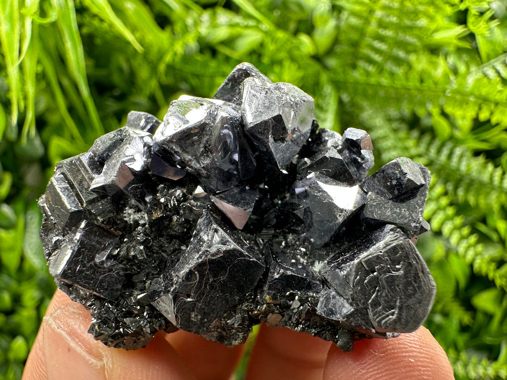 Galena on Sphalerite Specimen - Borieva Mine, Bulgaria