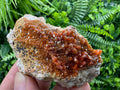 Red Vanadinite Crystal Cluster on Matrix, Morocco Mineral Specimen