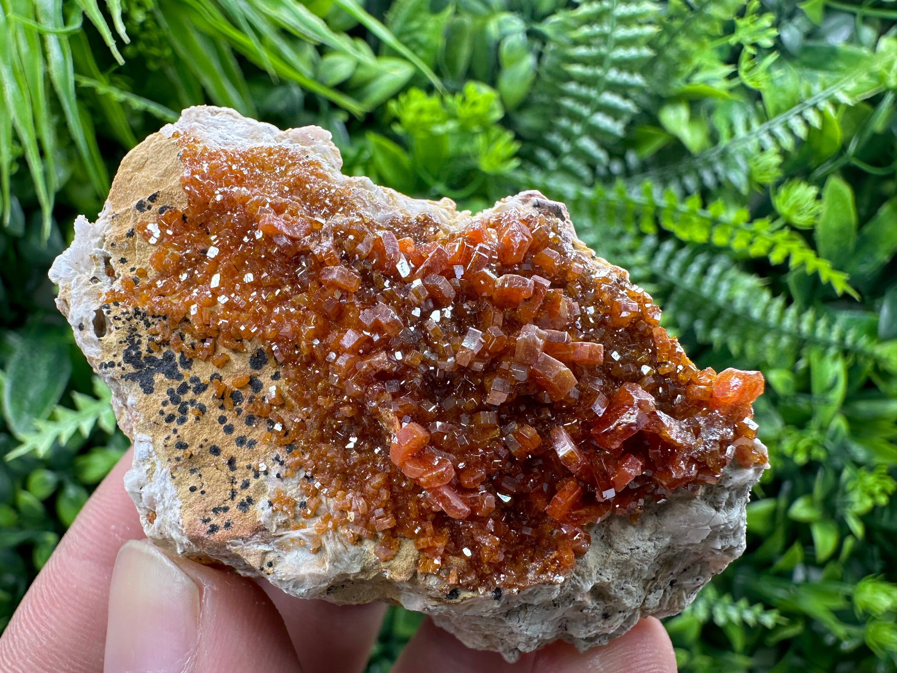 Red Vanadinite Crystal Cluster on Matrix, Morocco Mineral Specimen