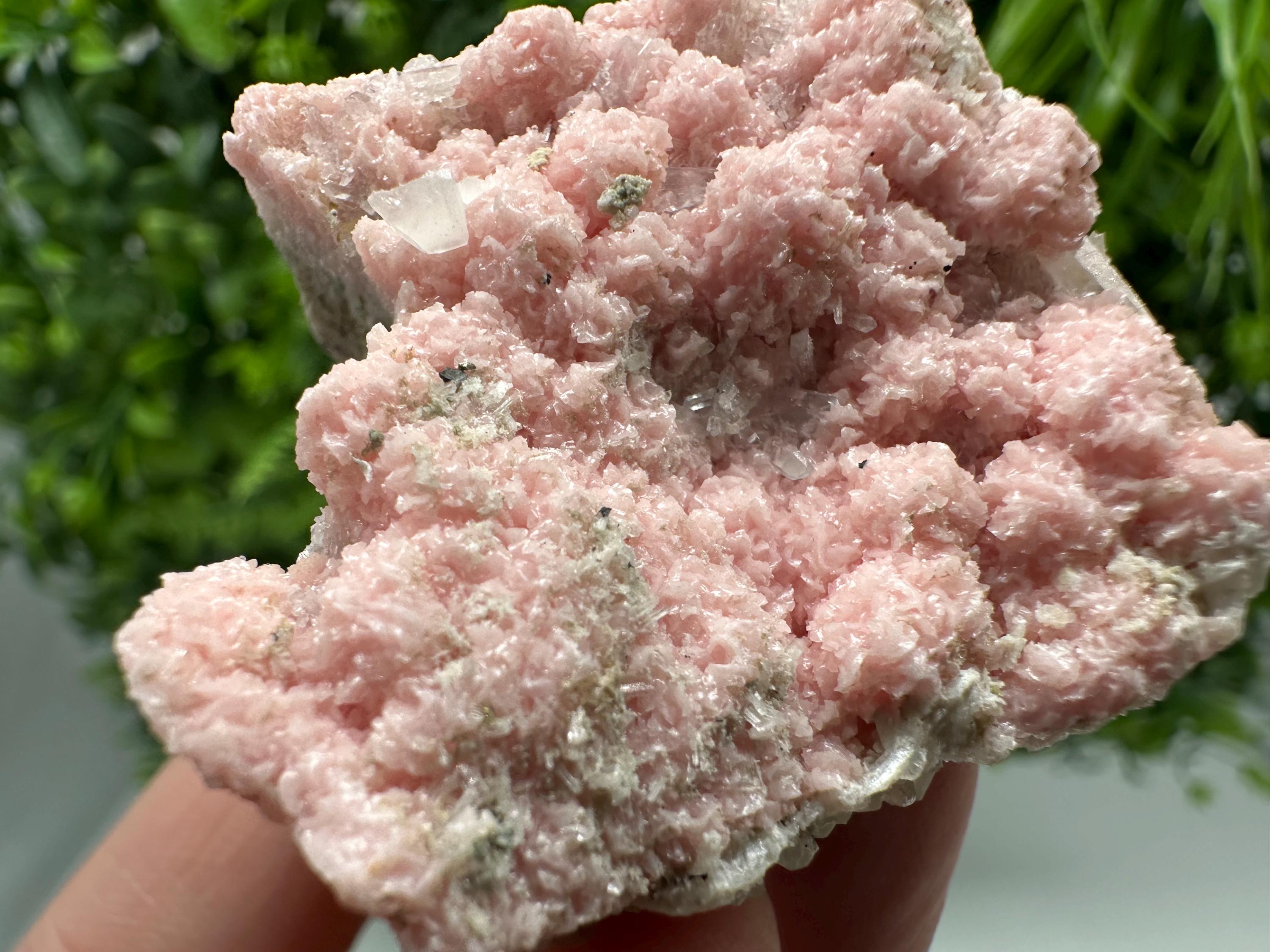 Pink Rhodochrosite Crystal: Starnica Mine, Bulgaria, Home Decor